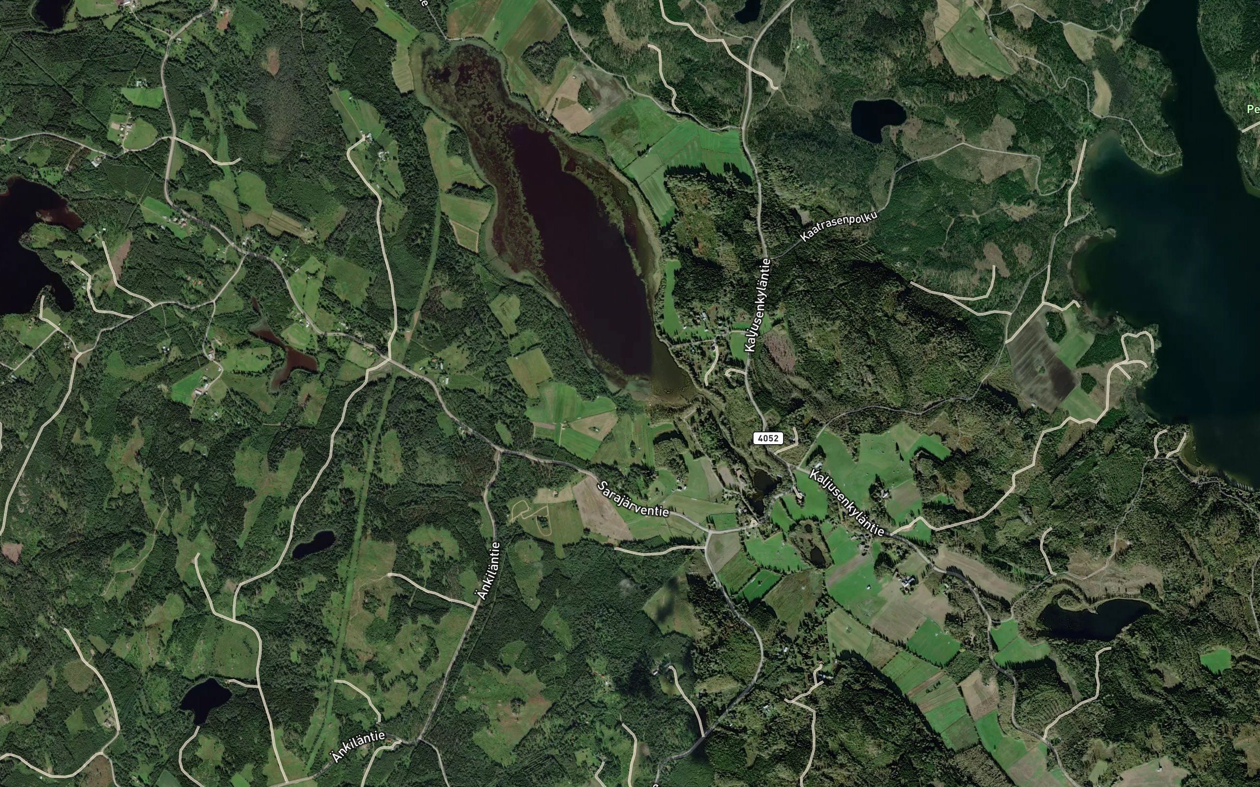 Sonninoja