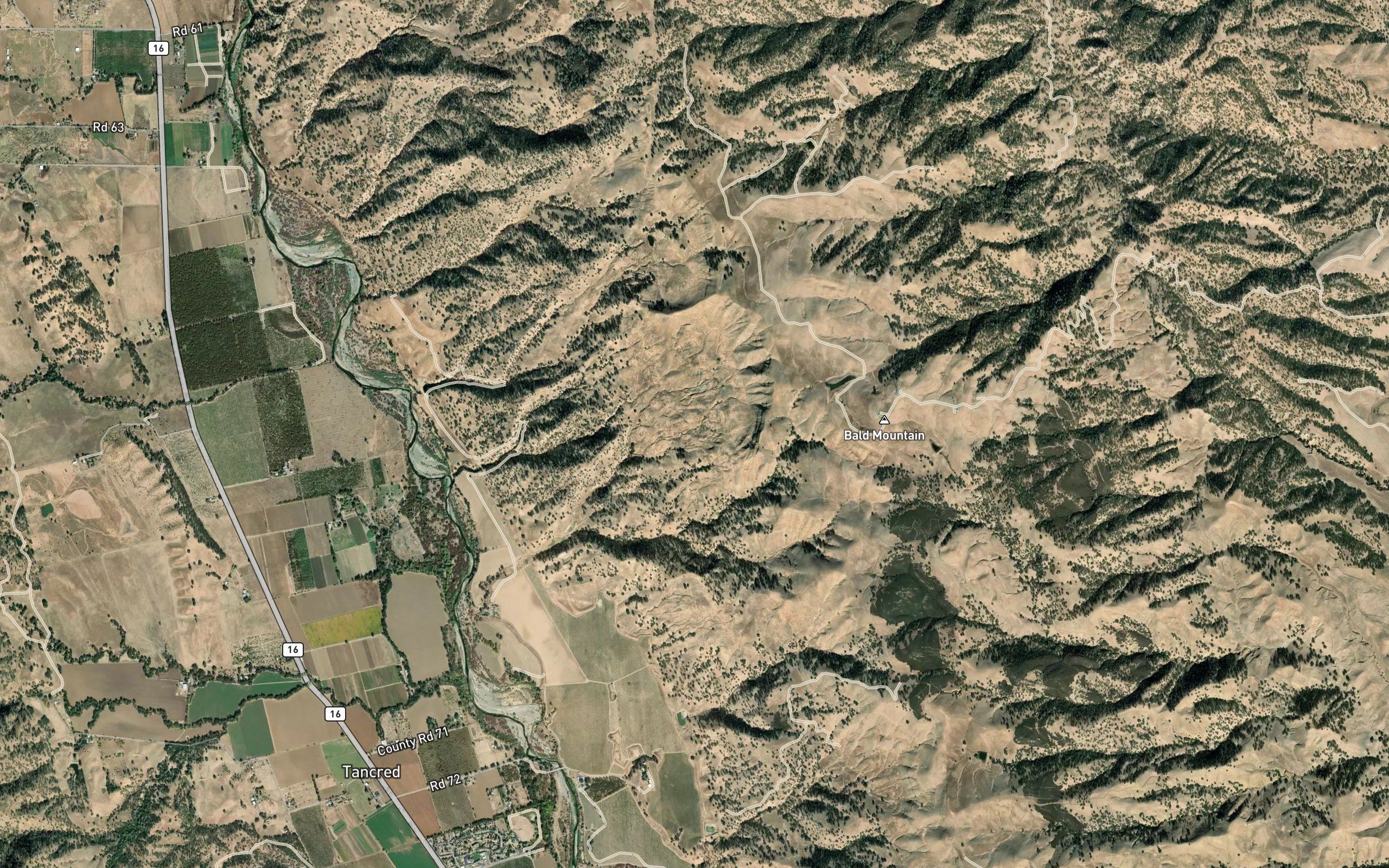 Cottonwood Spring
