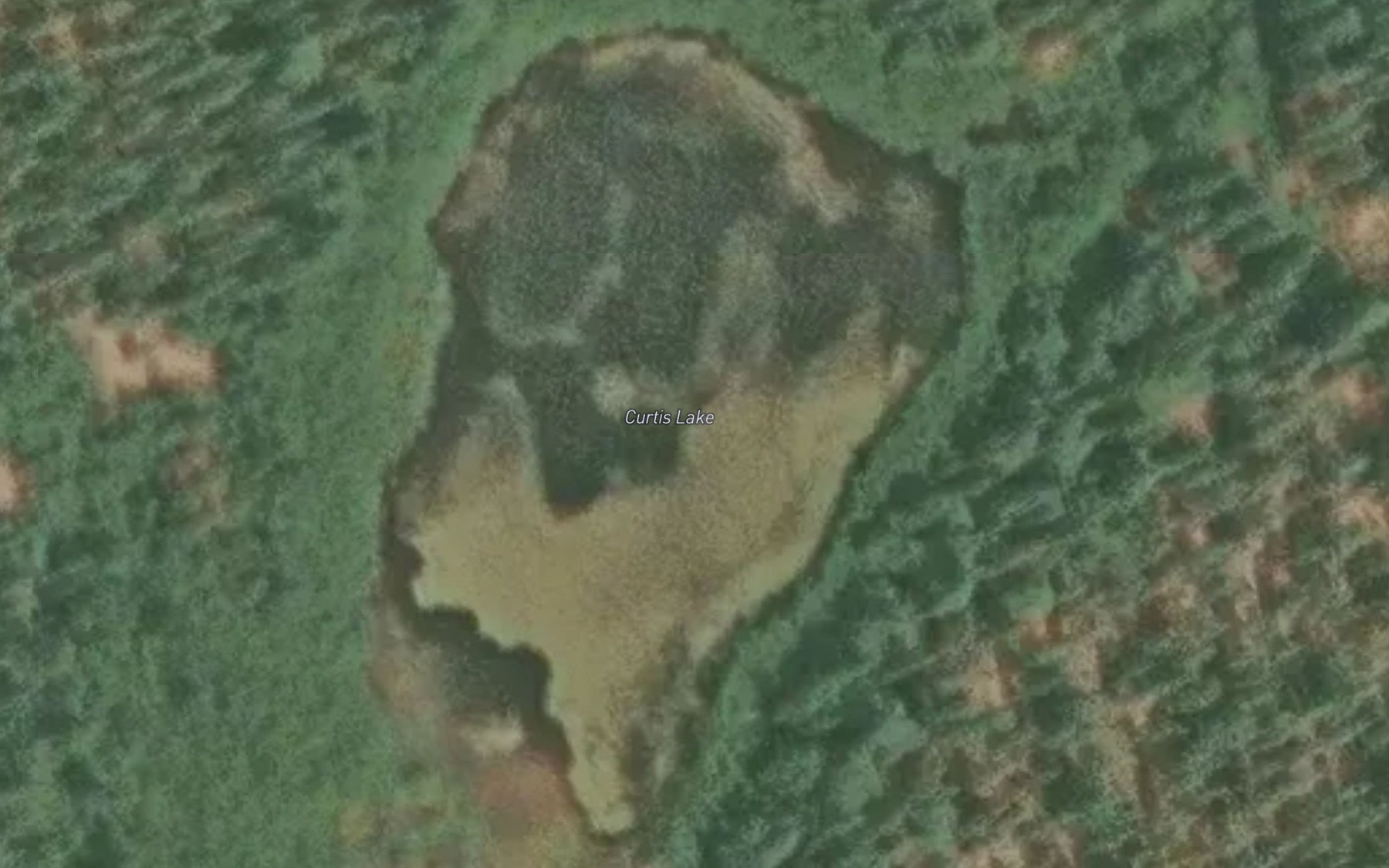 Satellite map of the Curtis Lake