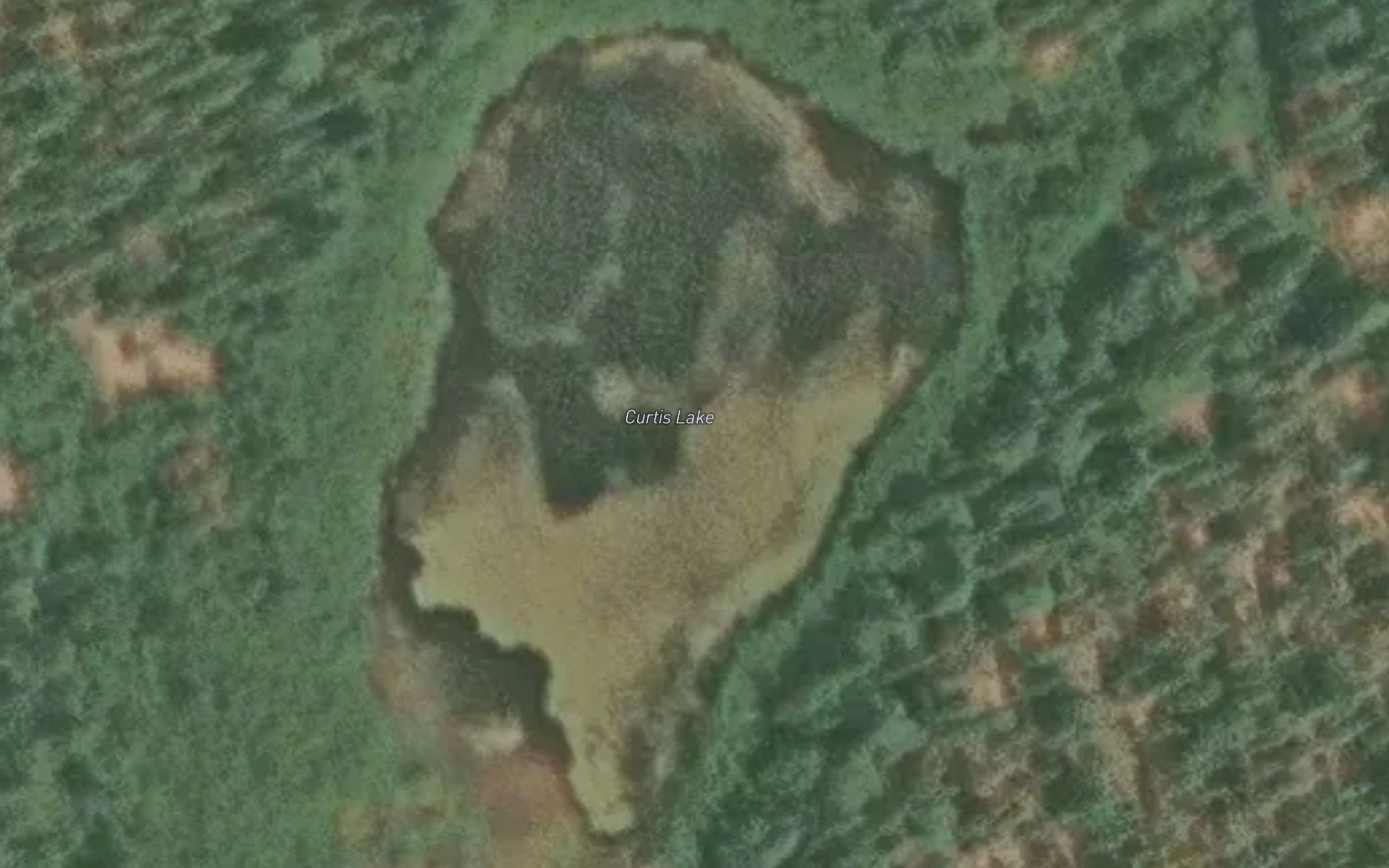 Curtis Lake