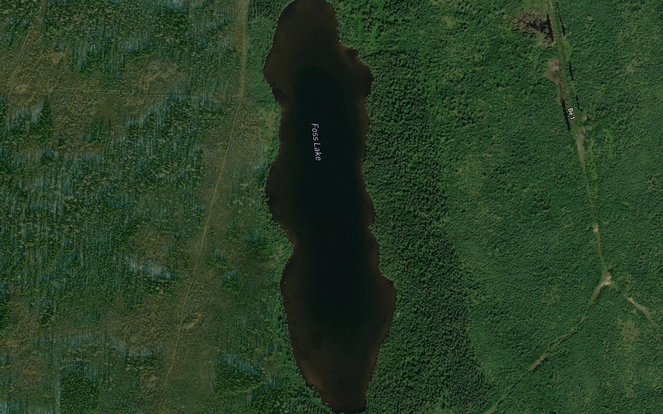 Foss Lake