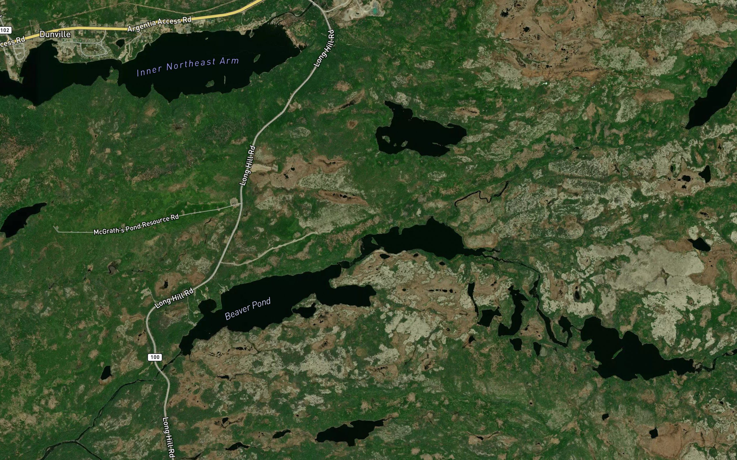 Beaver Pond