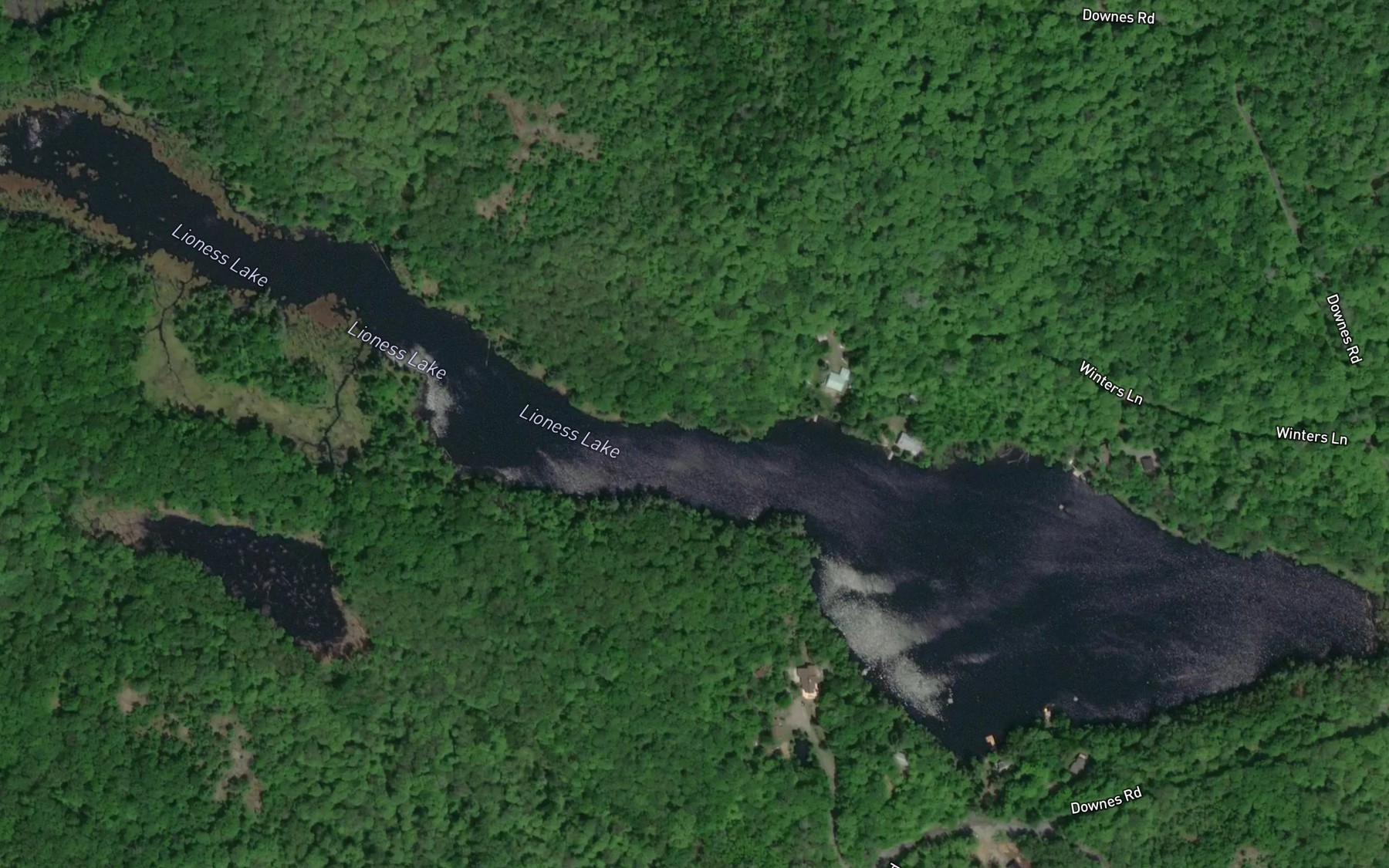Satellite map of the Lioness Lake