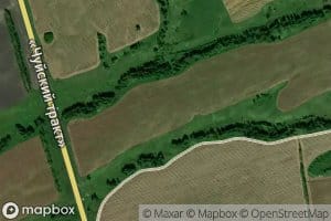 Log Verkhniy Borovlyanskiy