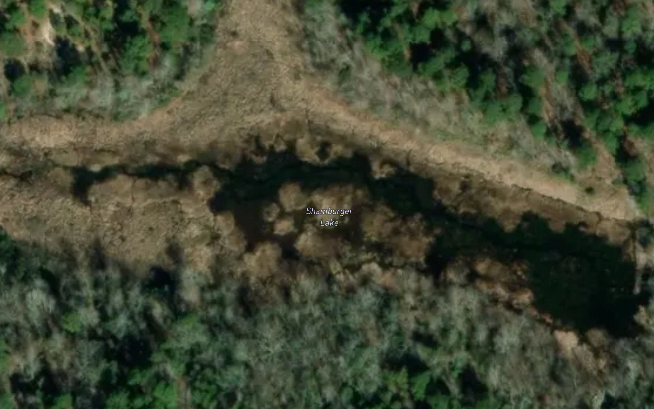 Shamburger Lake