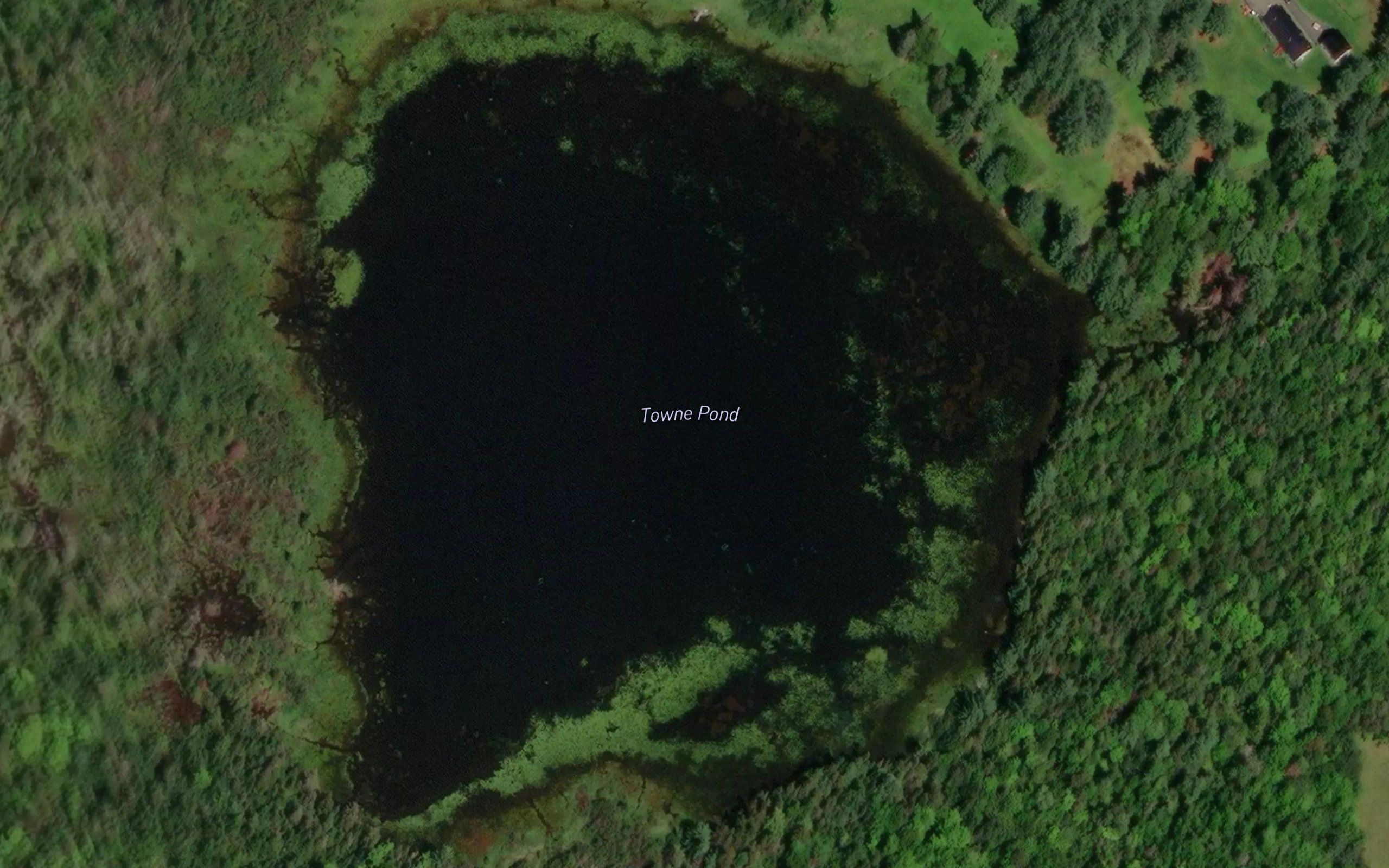 Towne Pond