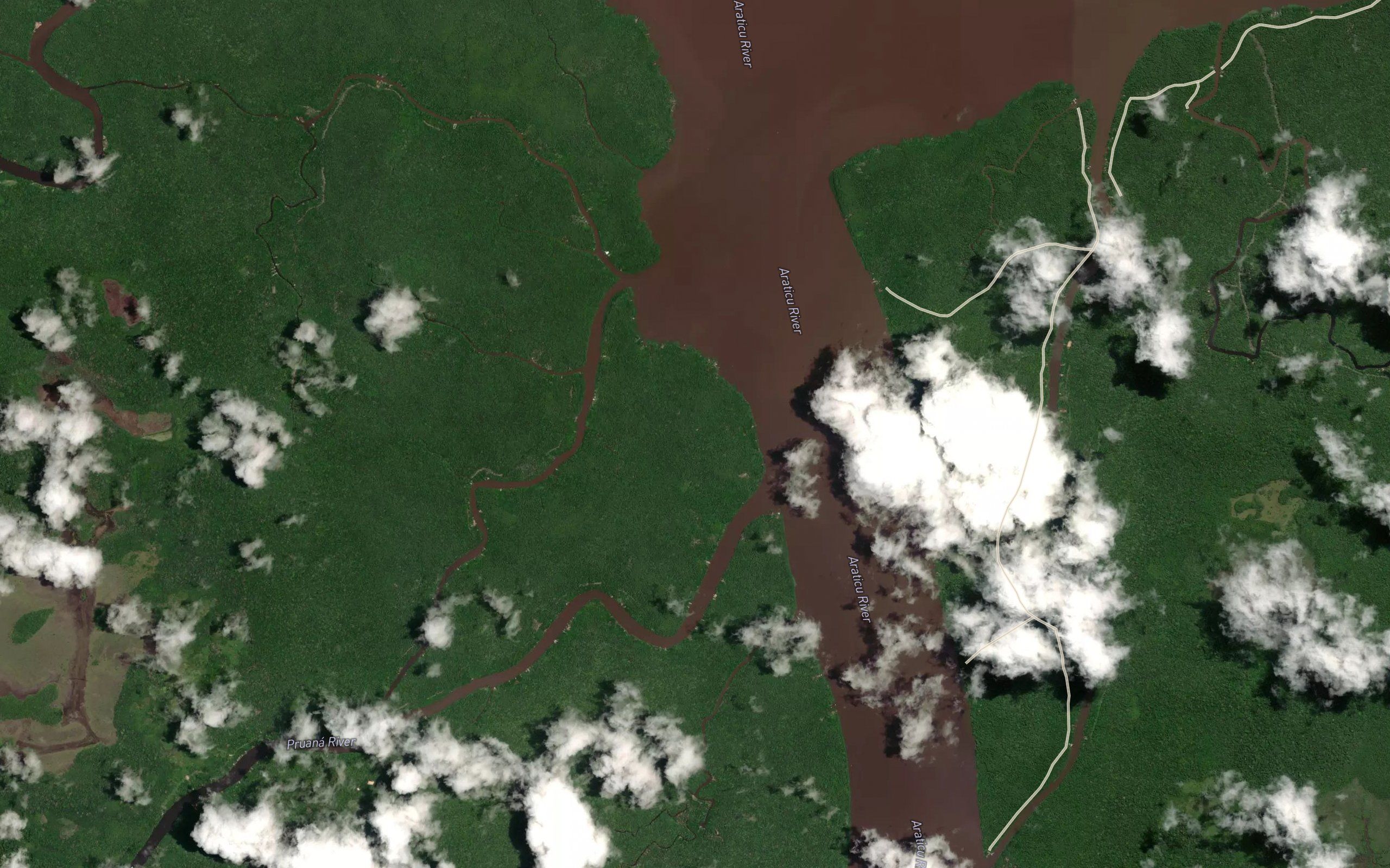 Parana Urubueua