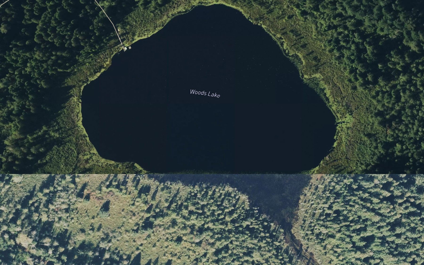 Satellite map of the Woods Lake
