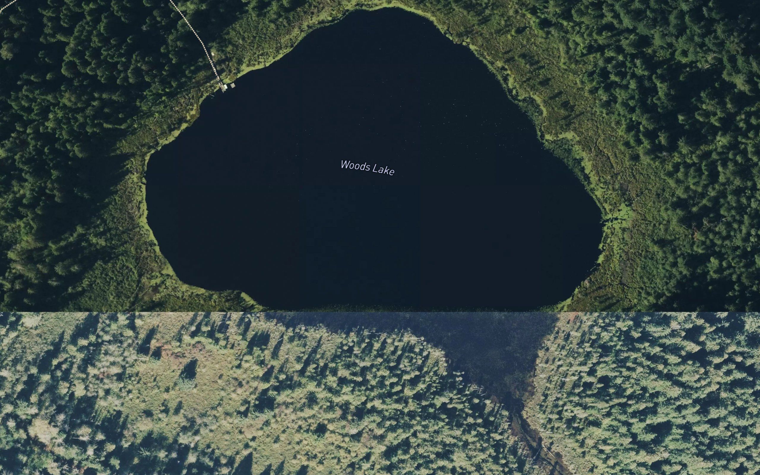 Woods Lake