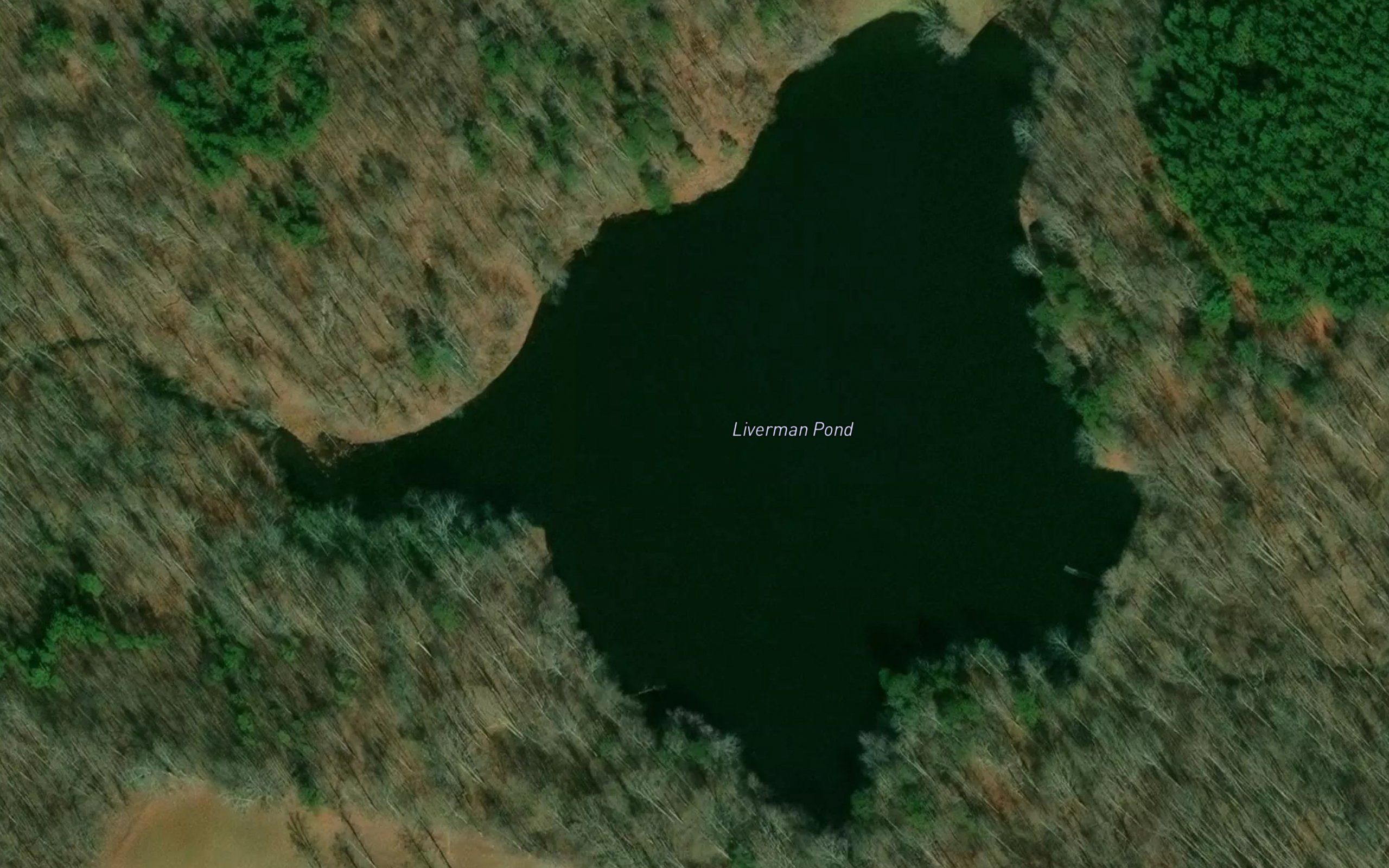 Liverman Pond