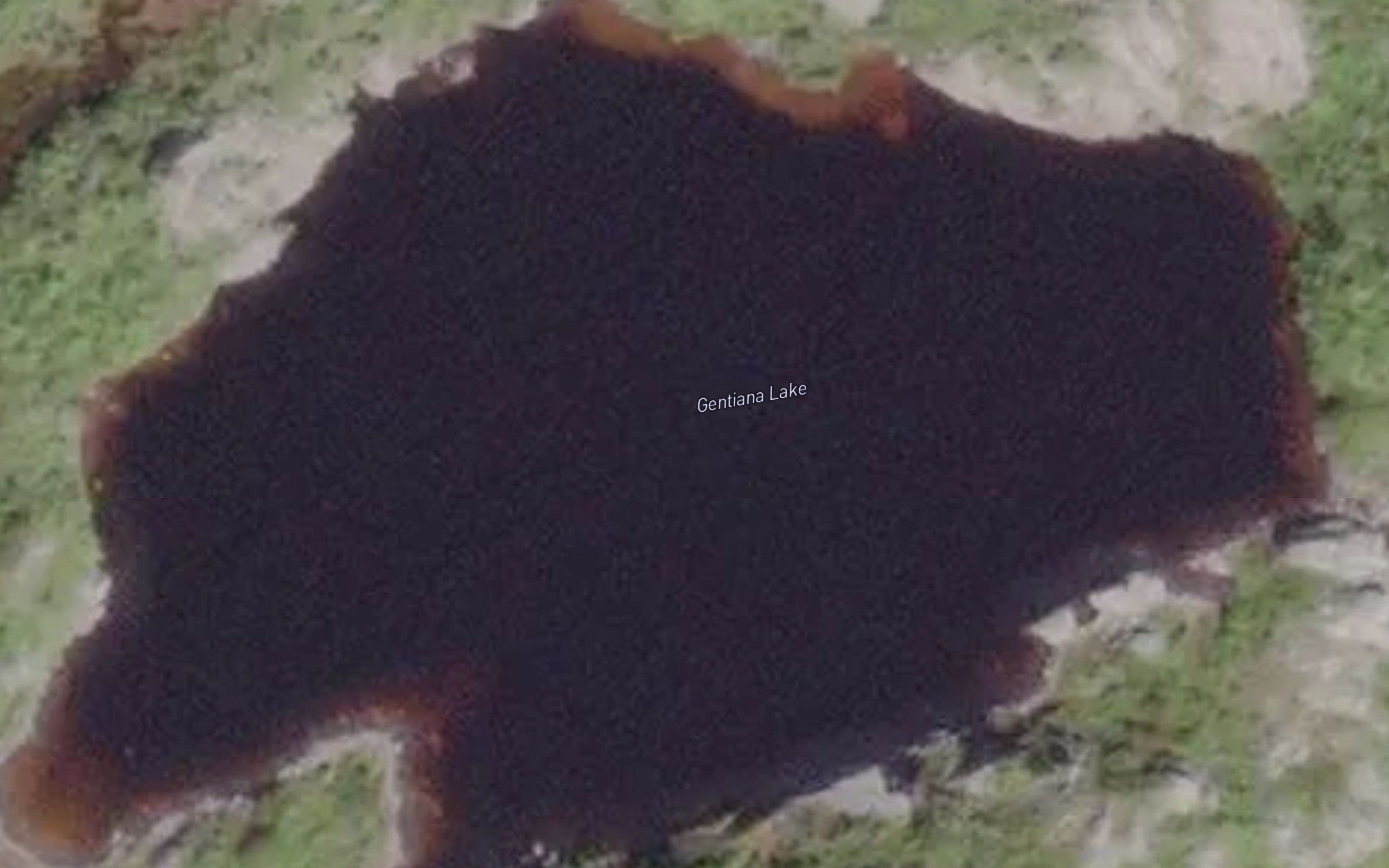 Gentiana Lake