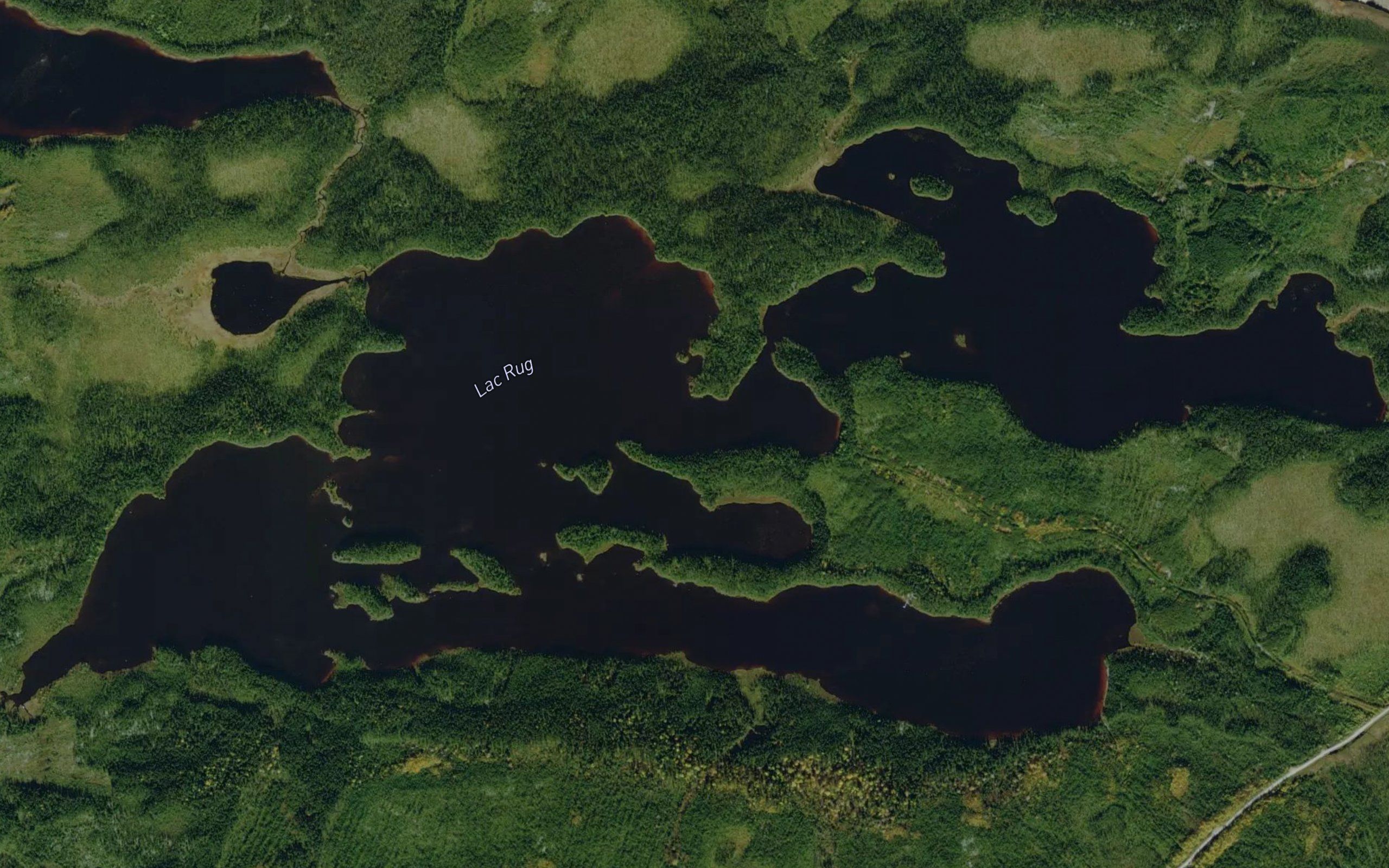 Lac Rug