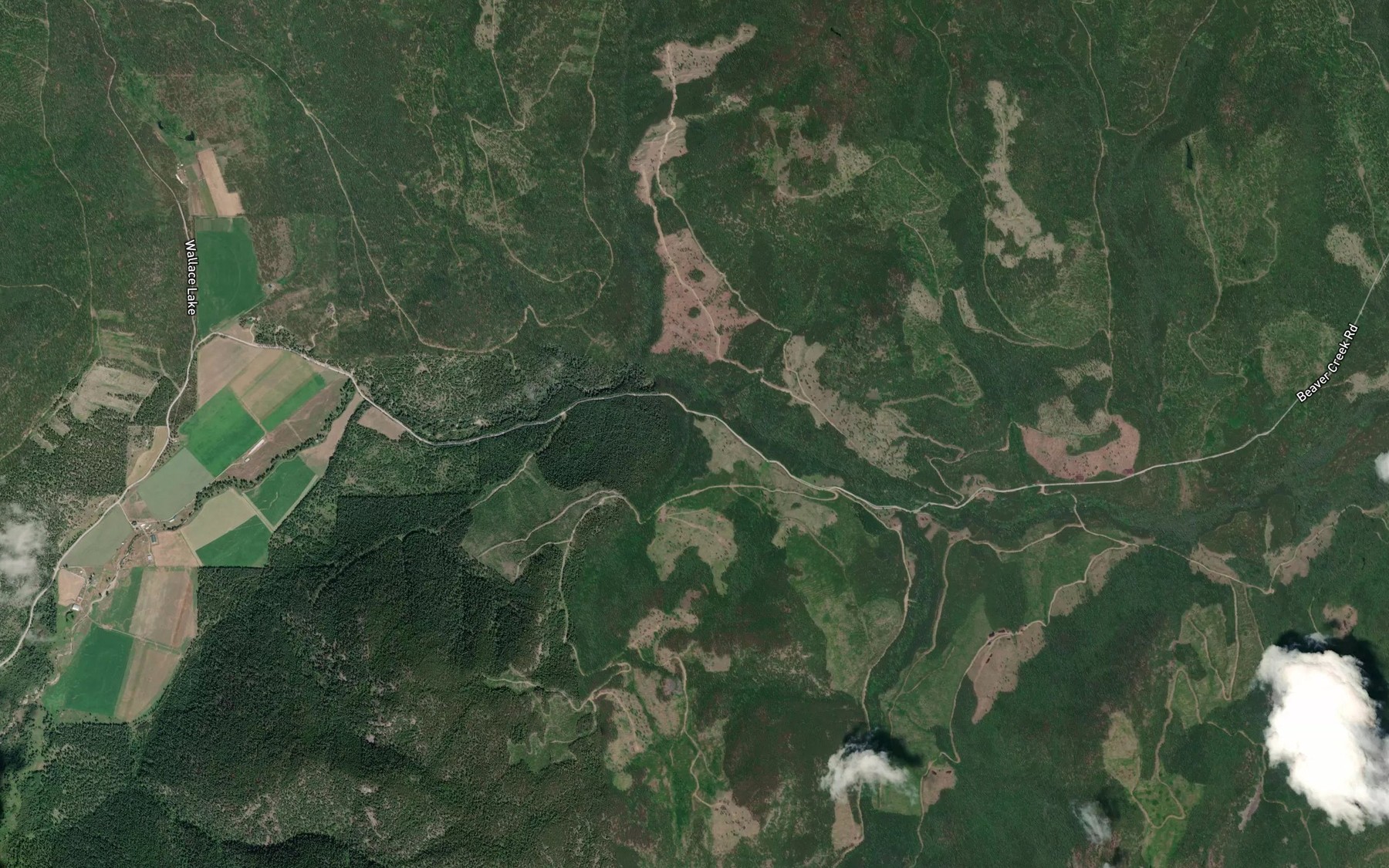 Satellite map of the St. John Creek