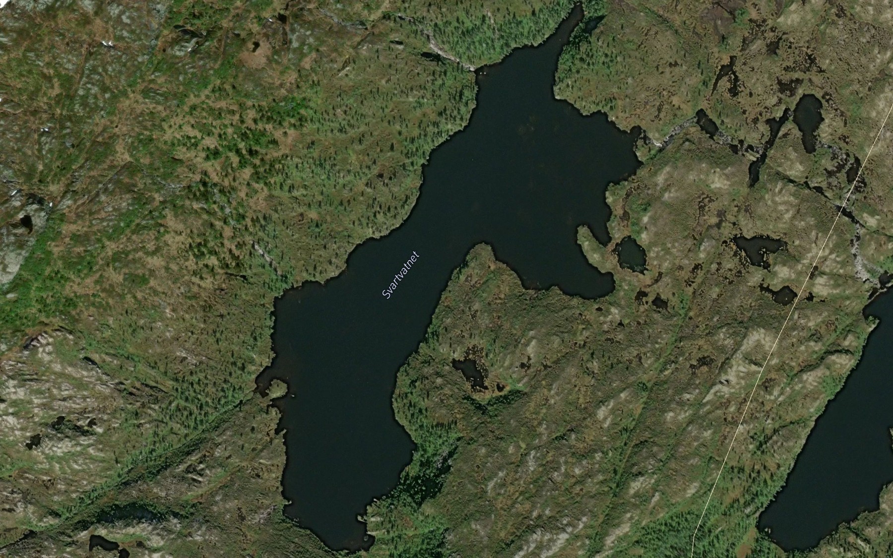 Satellite map of the Svartvatnet