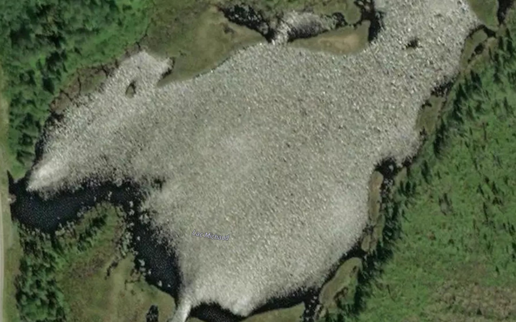 Satellite map of the Lac Michaud