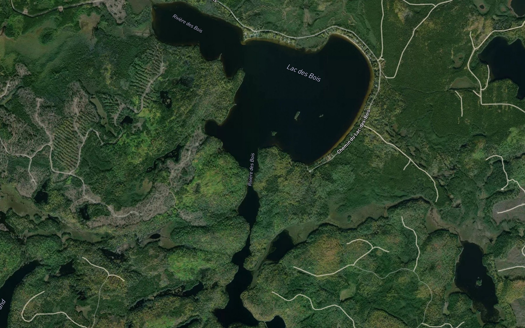 Satellite map of the Lac des Bois