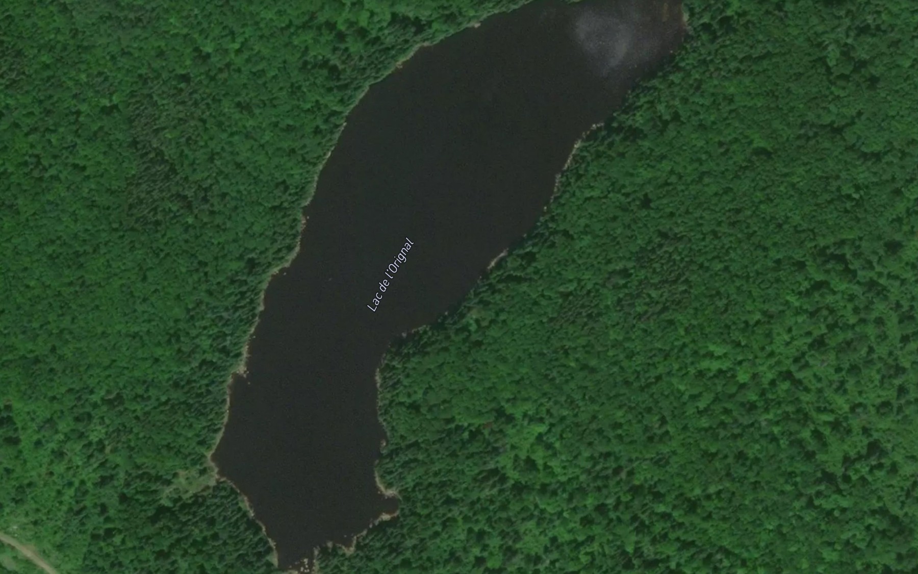 Satellite map of the Lac de l'Orignal