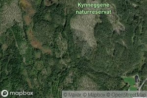 Kynneggbekken