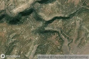 Poison Spider Spring