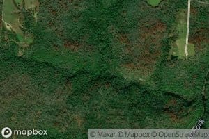 Saunders Mill Branch