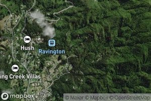 Whakanekeneke Stream