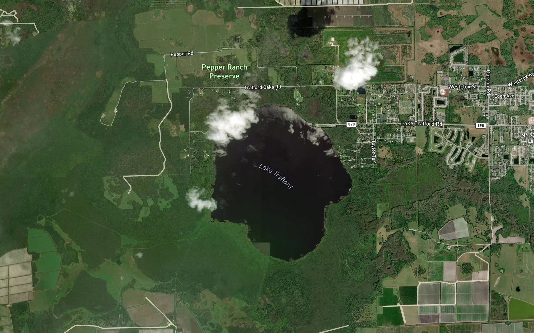 Satellite map of the Center part