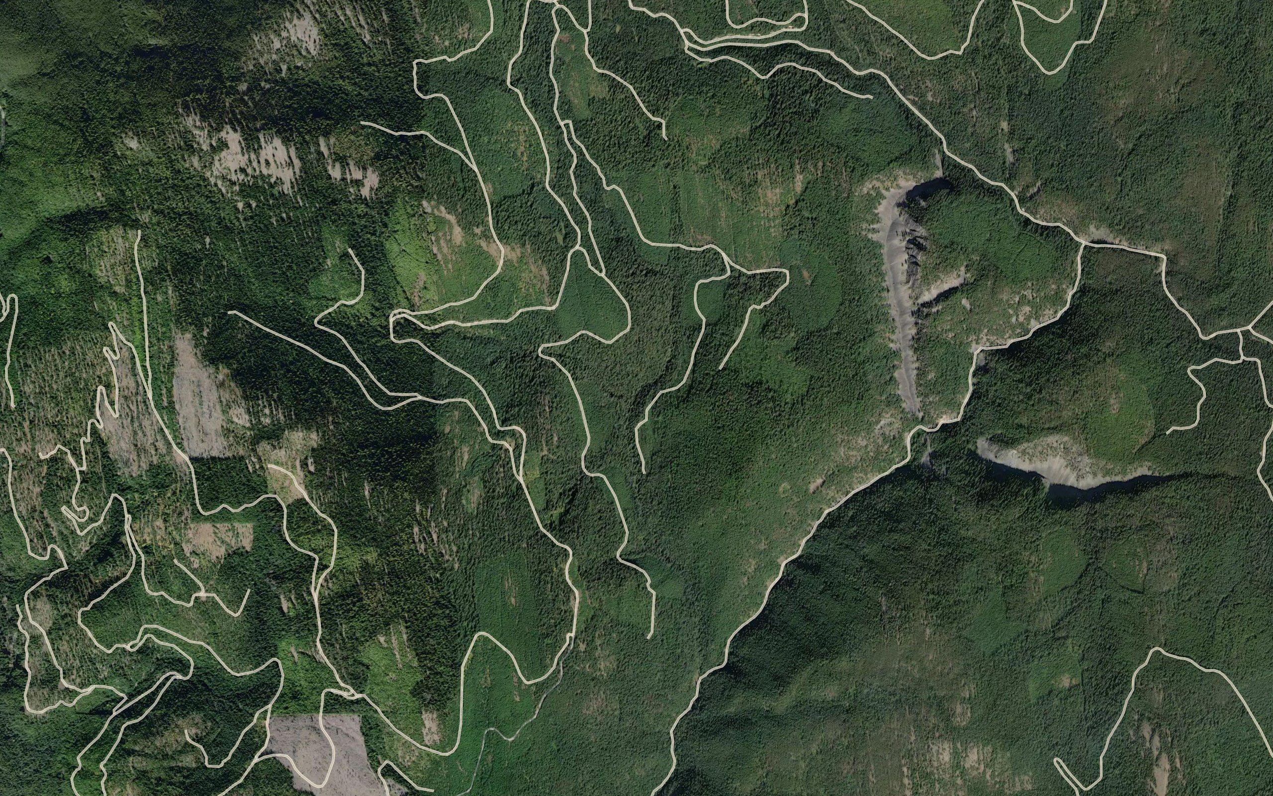 Bearfite Creek