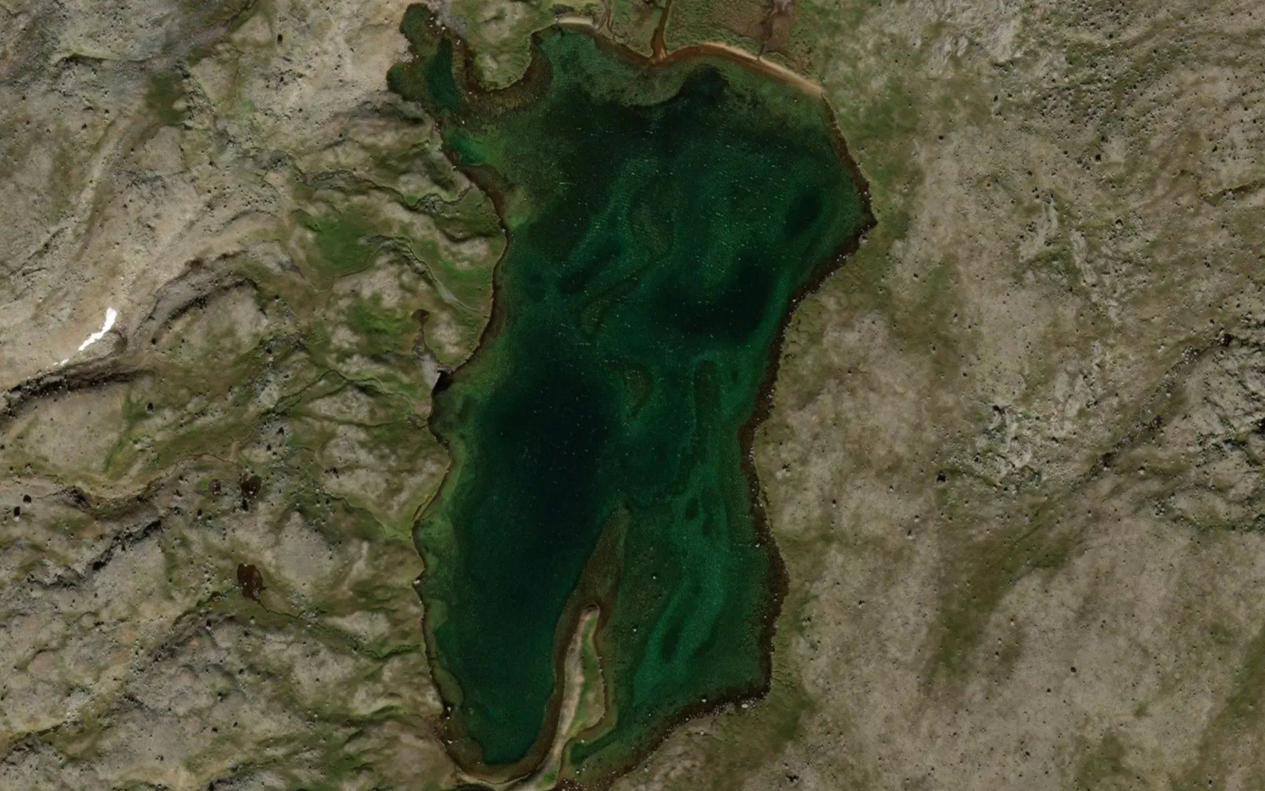 Hoankajavri