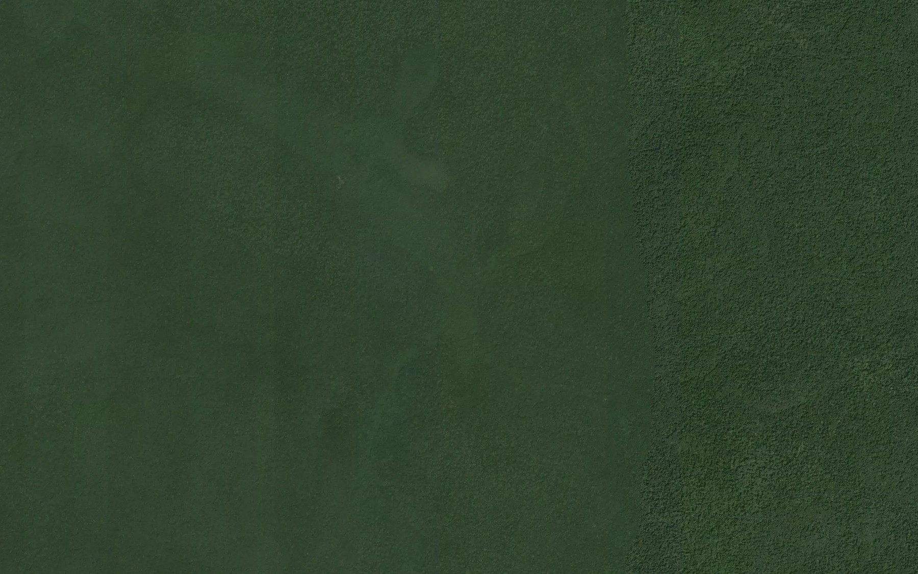 Satellite map of the Pande