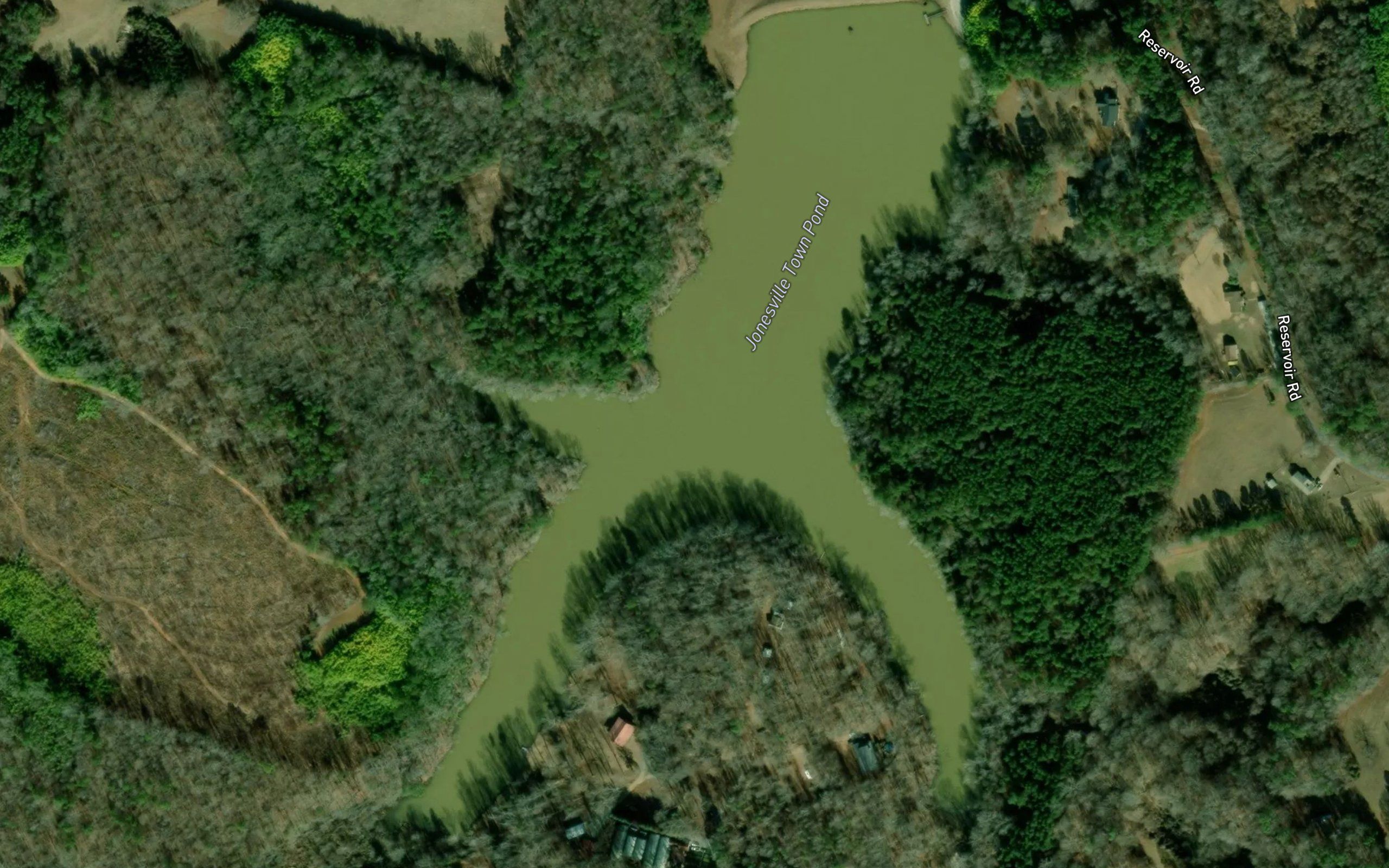 Jonesville Town Pond