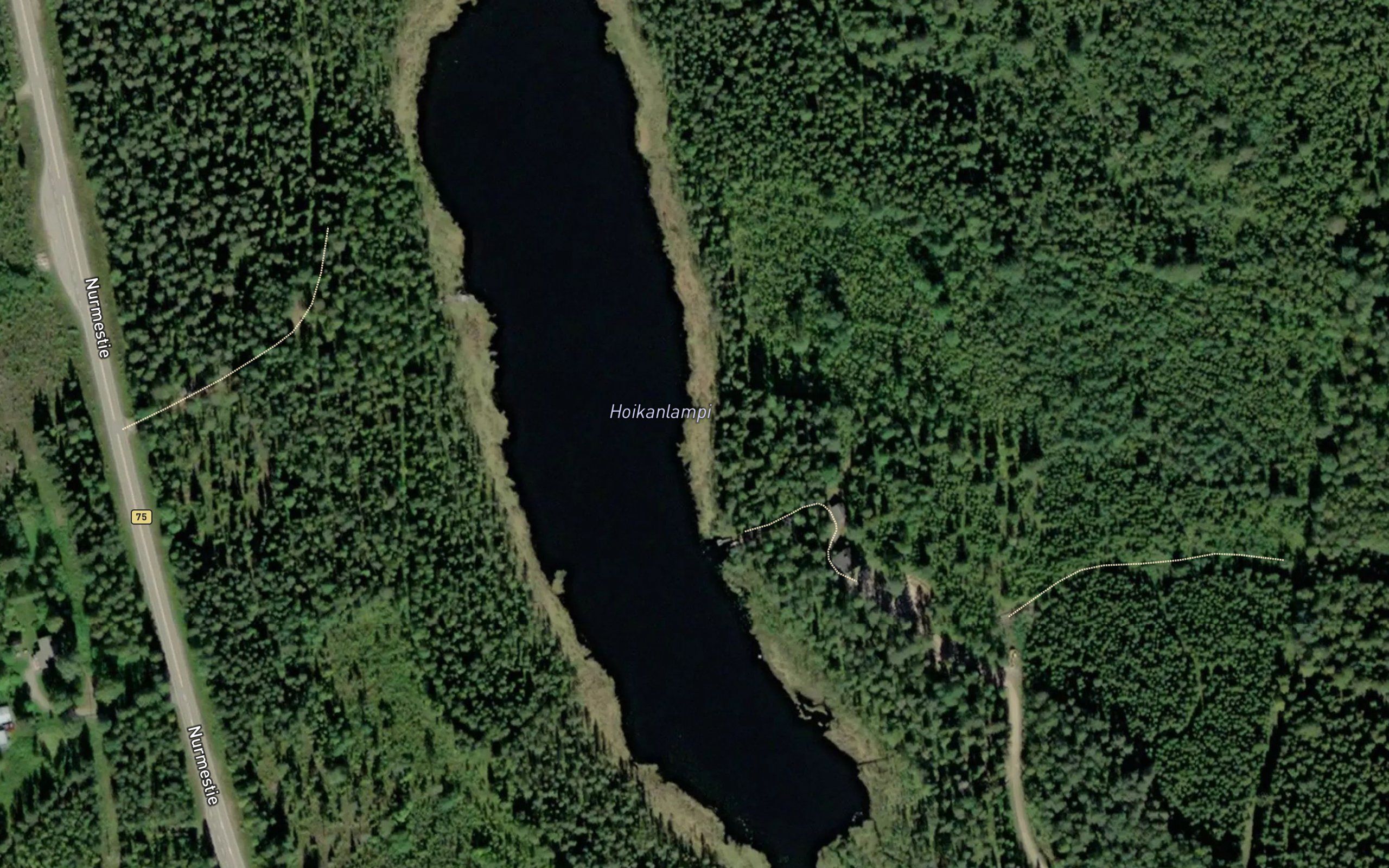 Hoikanlampi