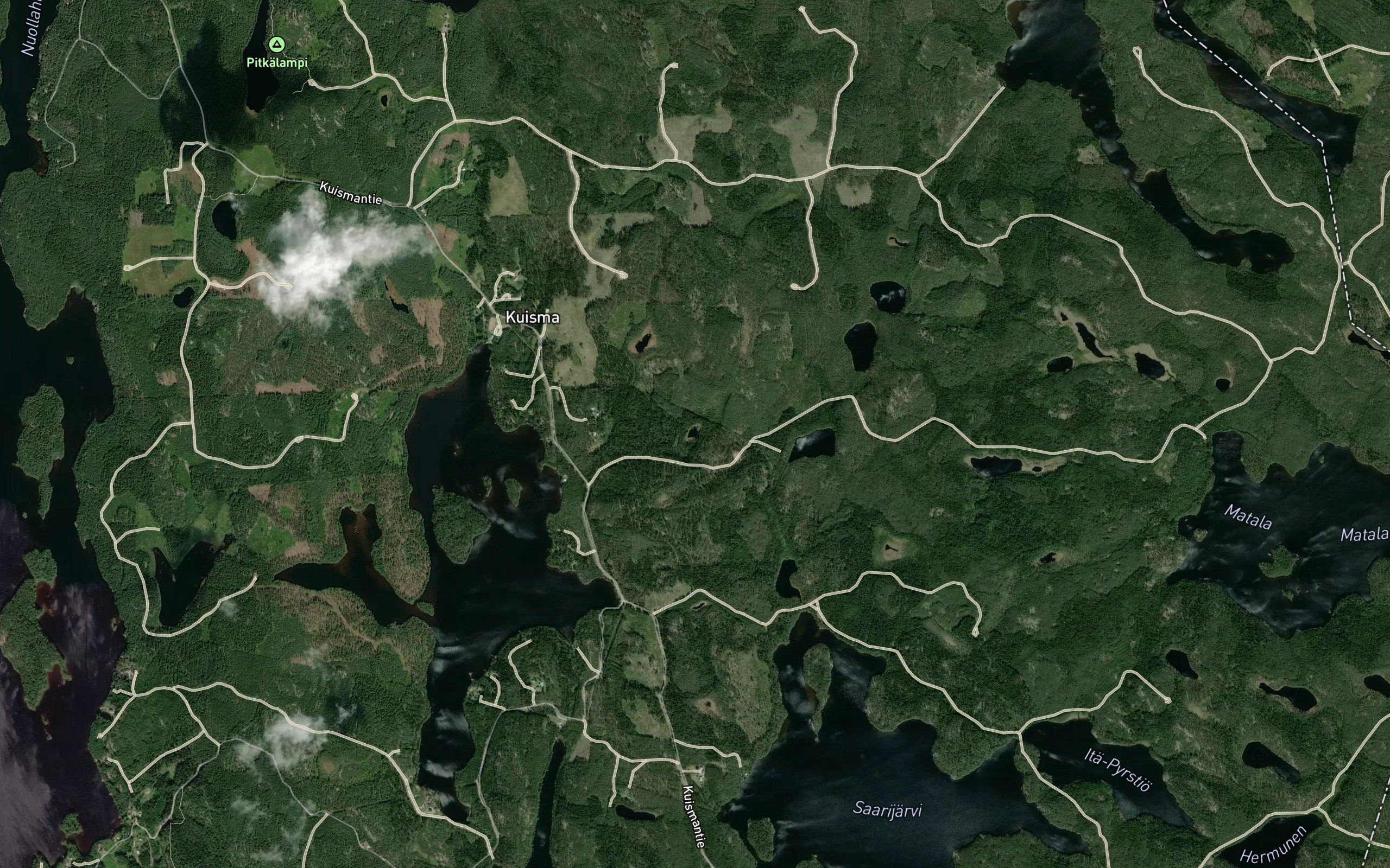 Tallisuonlampi