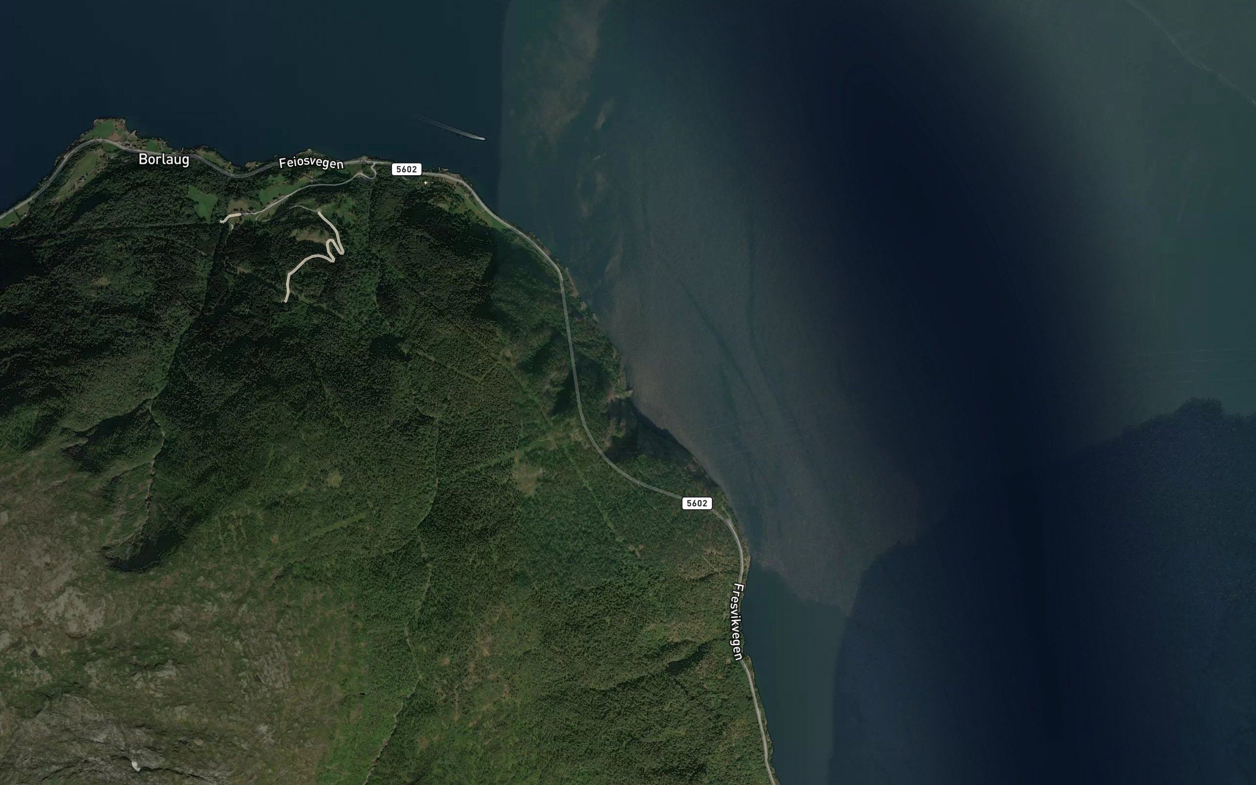 Kongalegene