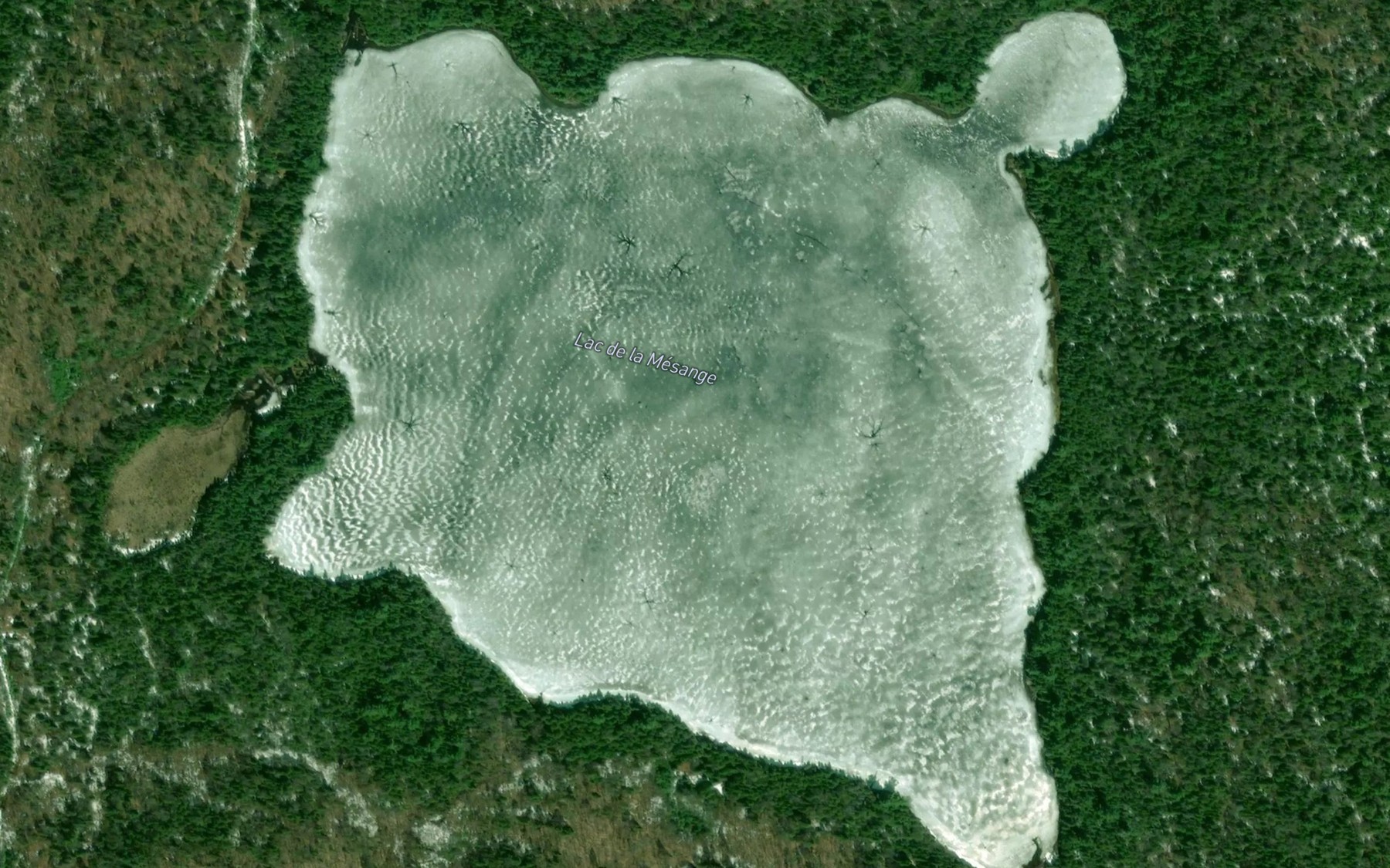 Satellite map of the Lac de la Mesange