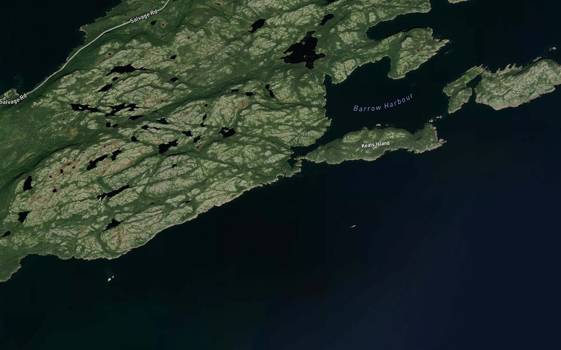 Satellite map of the Scotts Tickle