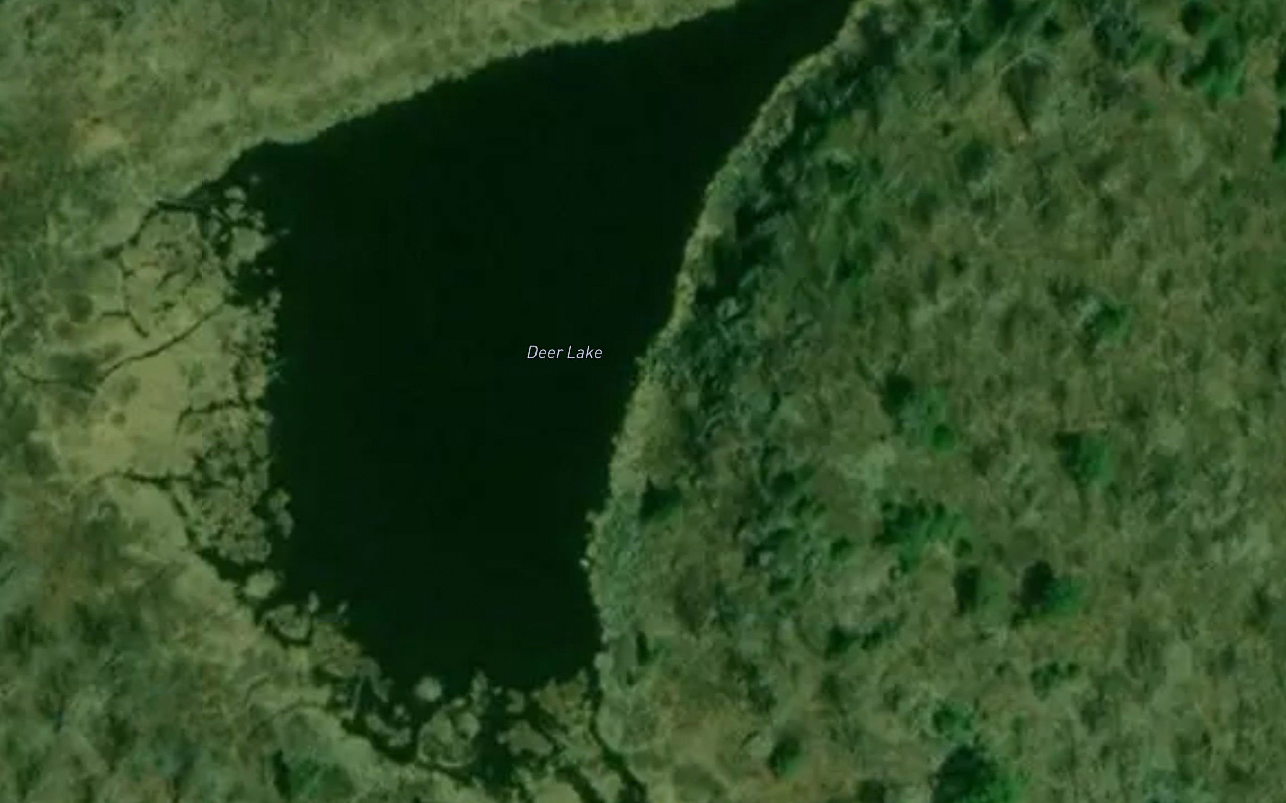 Deer Lake