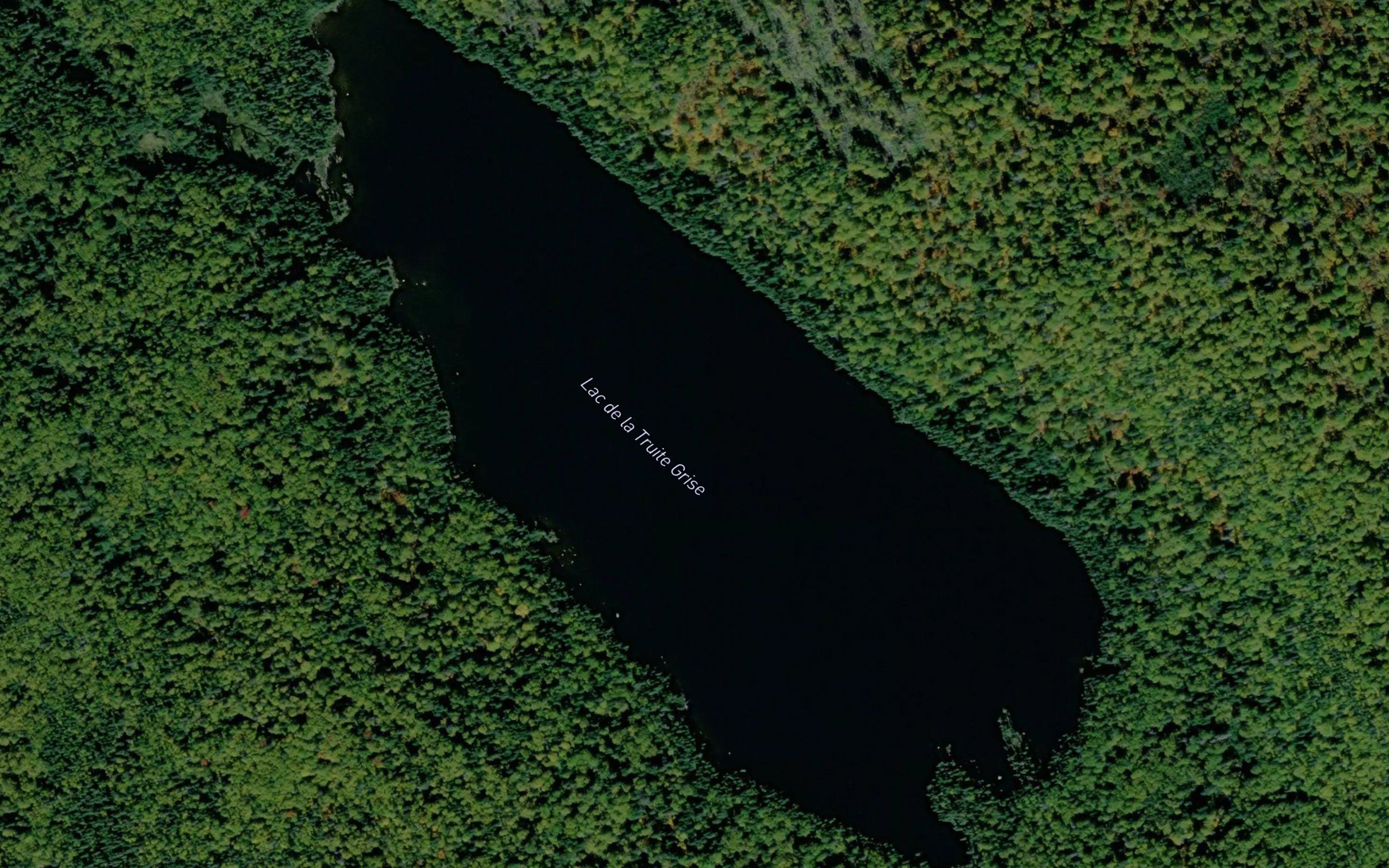 Lac de la Truite Grise
