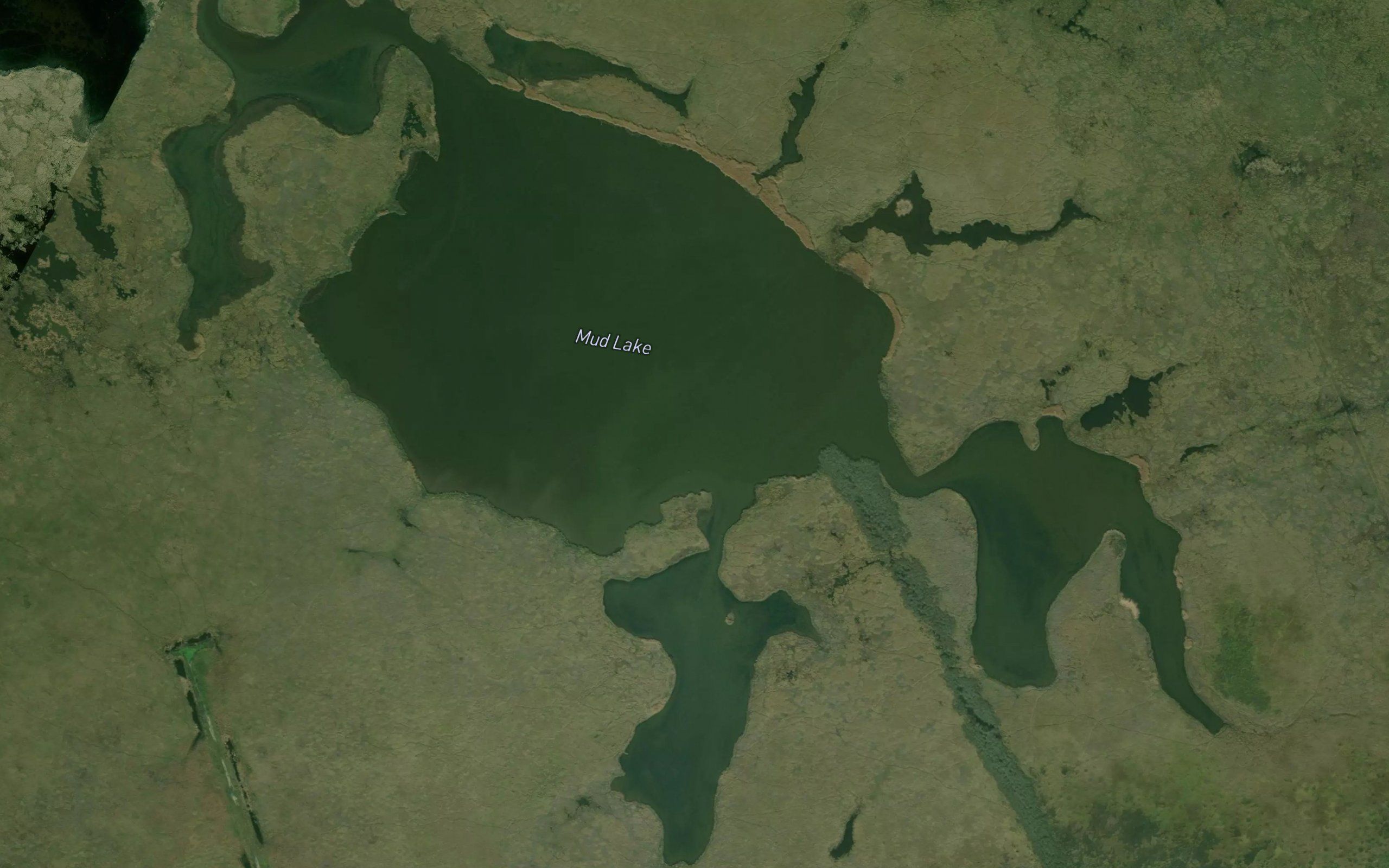 Mud Lake