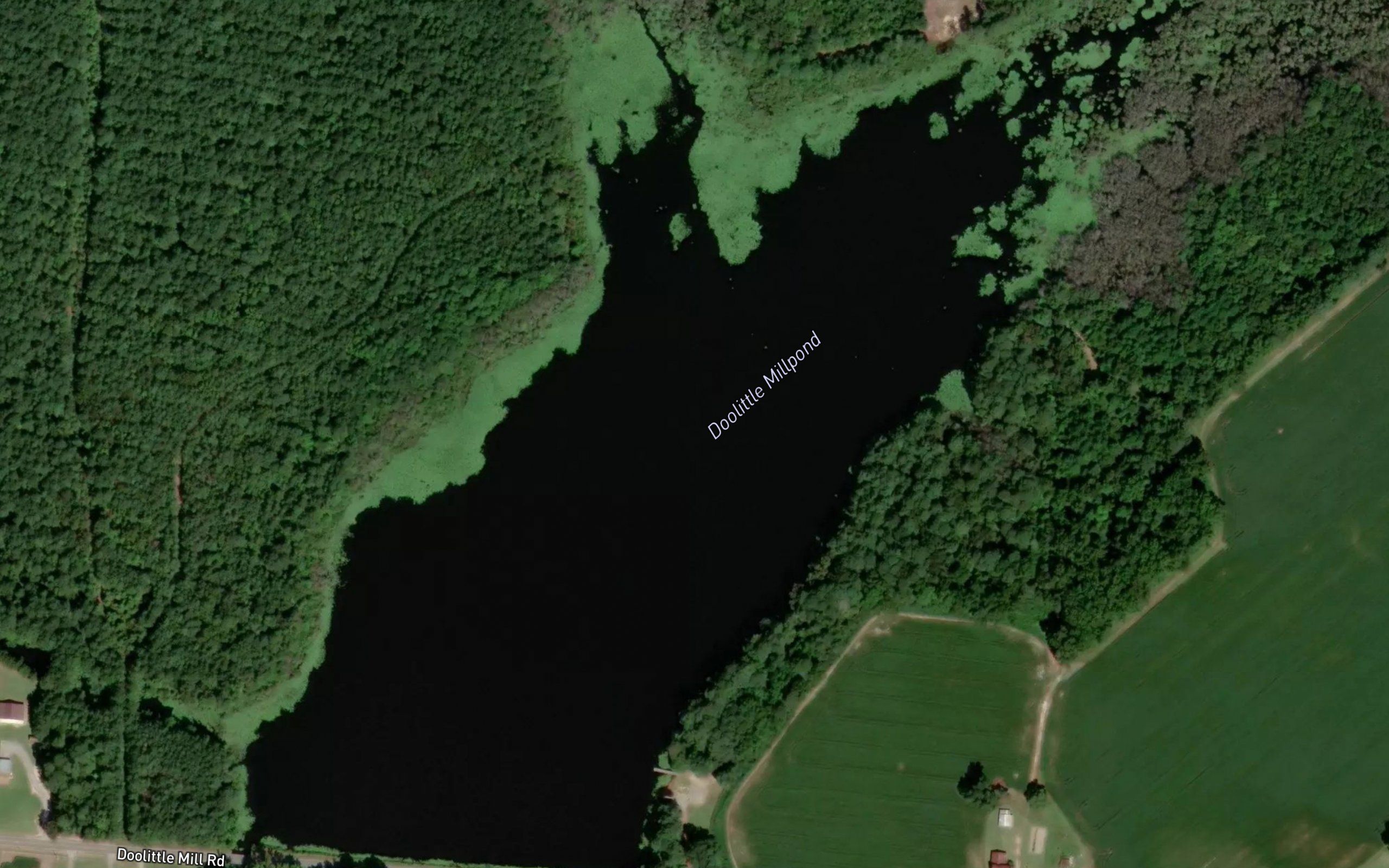 Doolittle Millpond