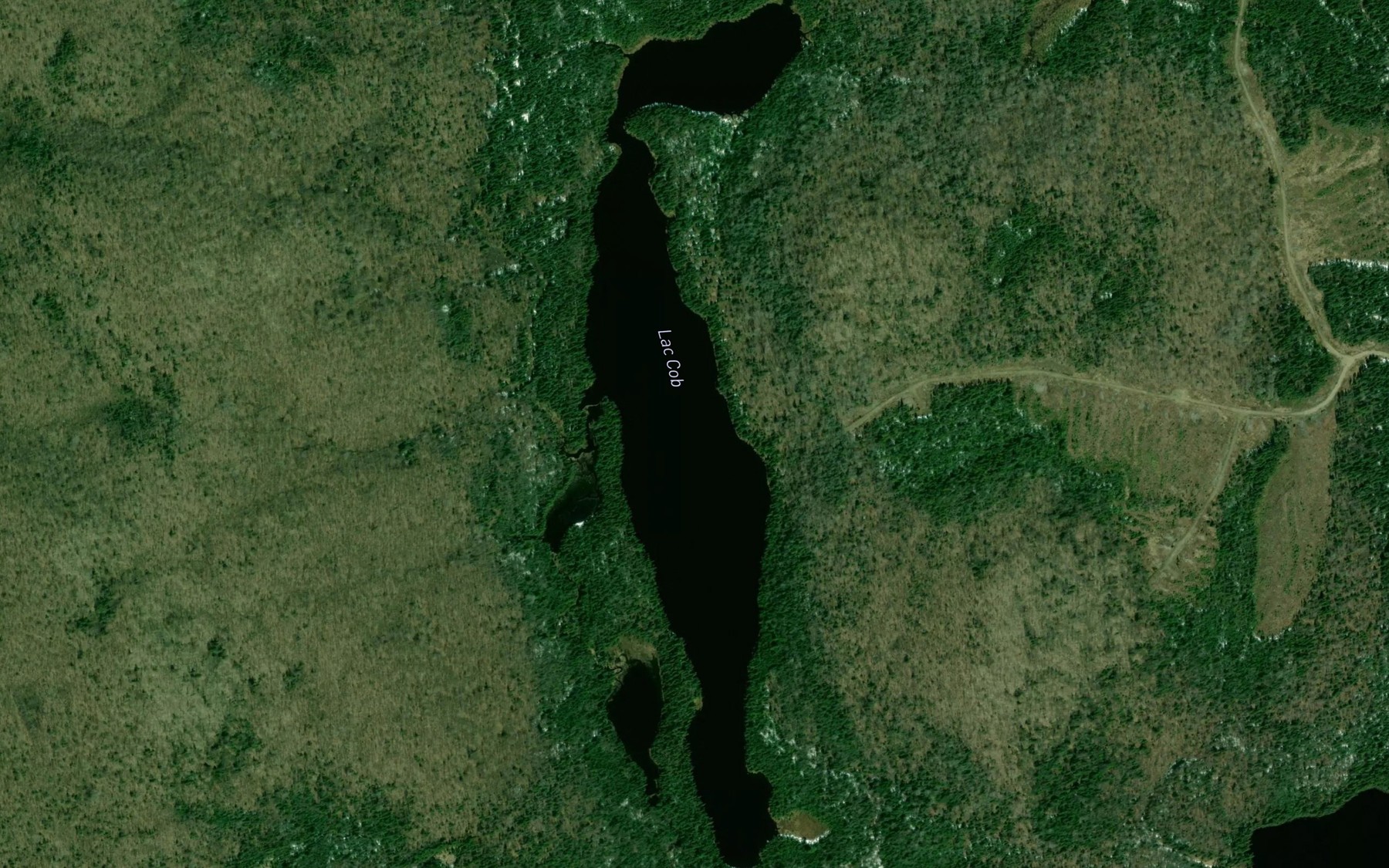 Satellite map of the Lac Cob