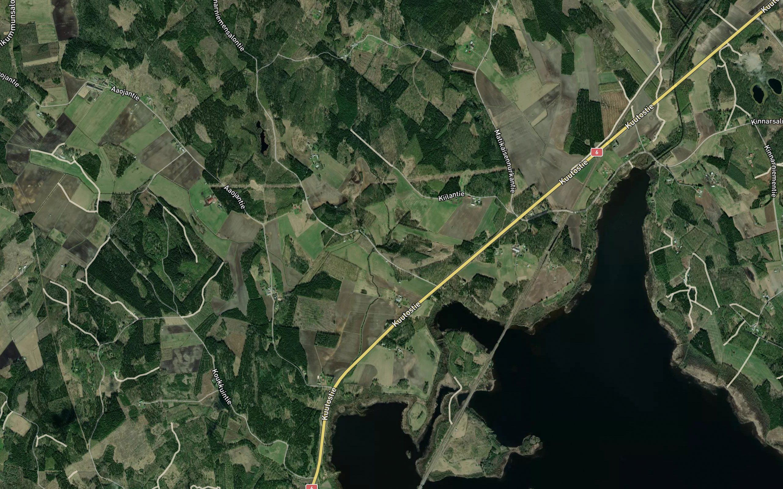 Lamminniska