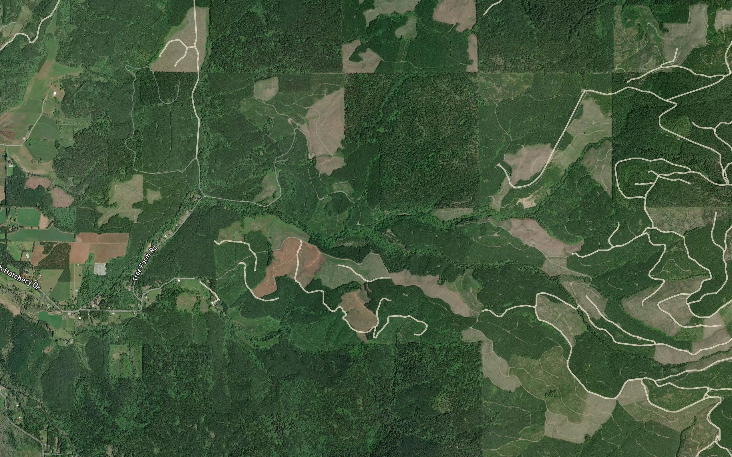 South Roaring River