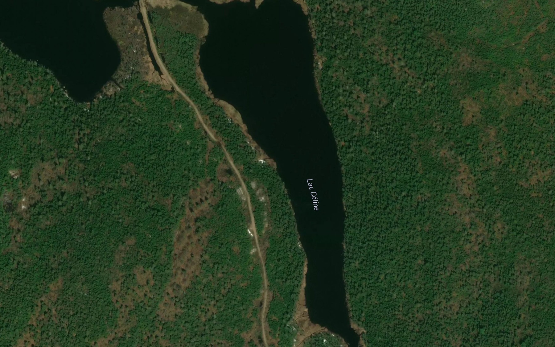 Satellite map of the Lac Celine