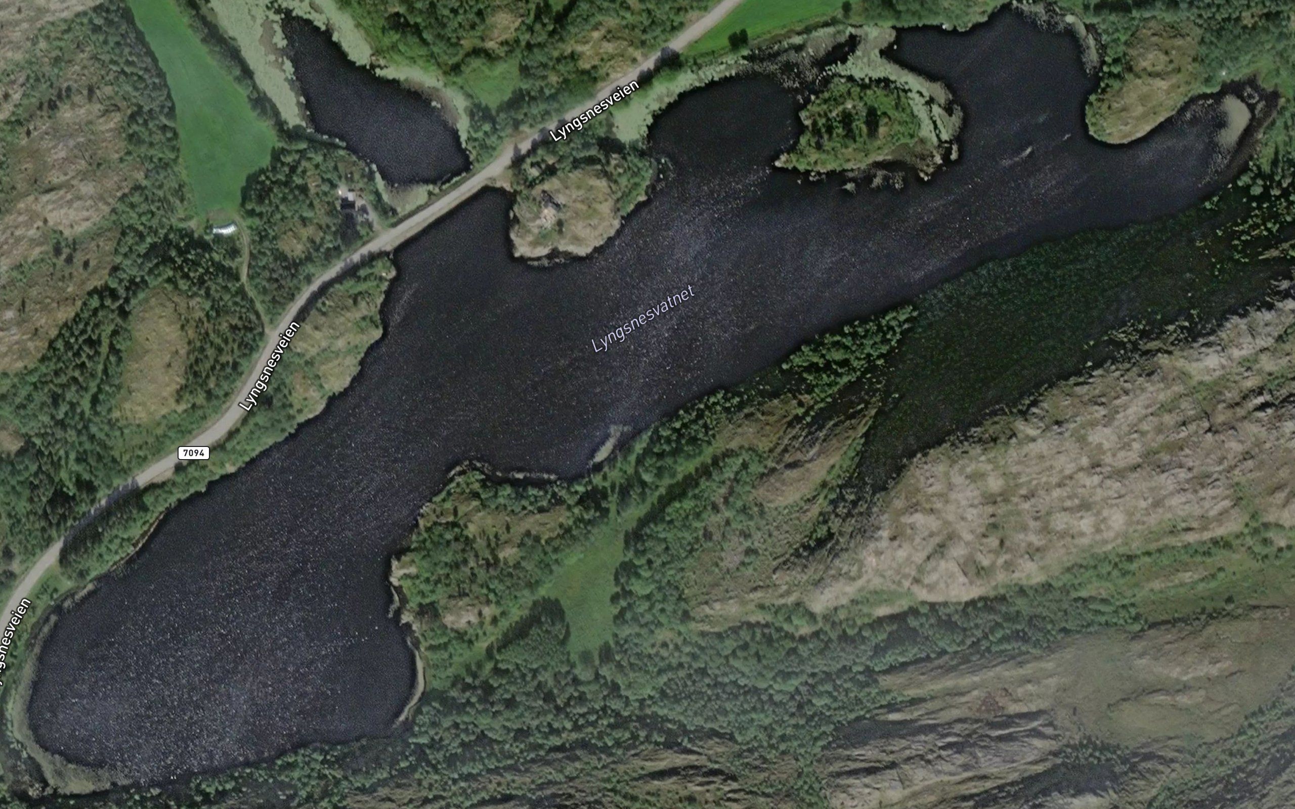 Lyngsnesvatnet