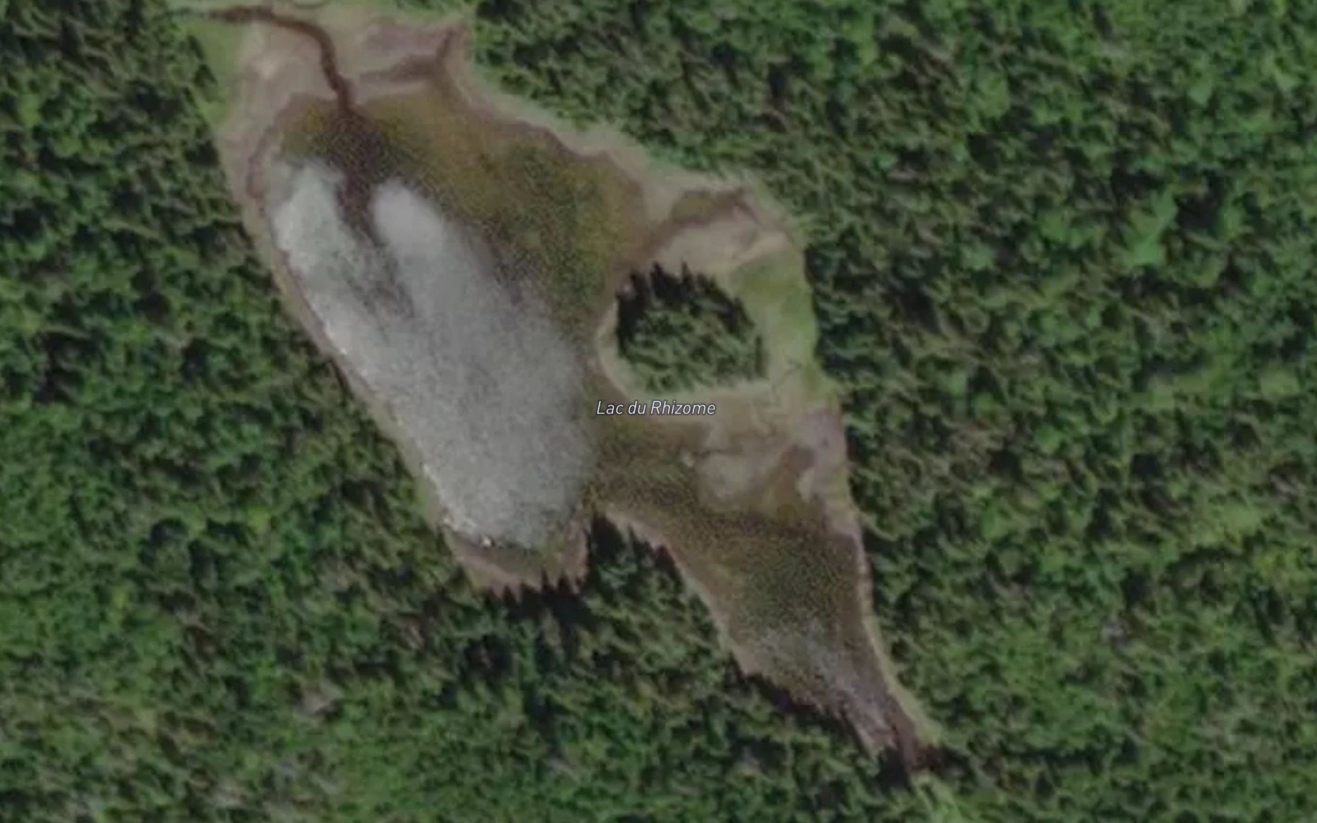 Lac du Rhizome