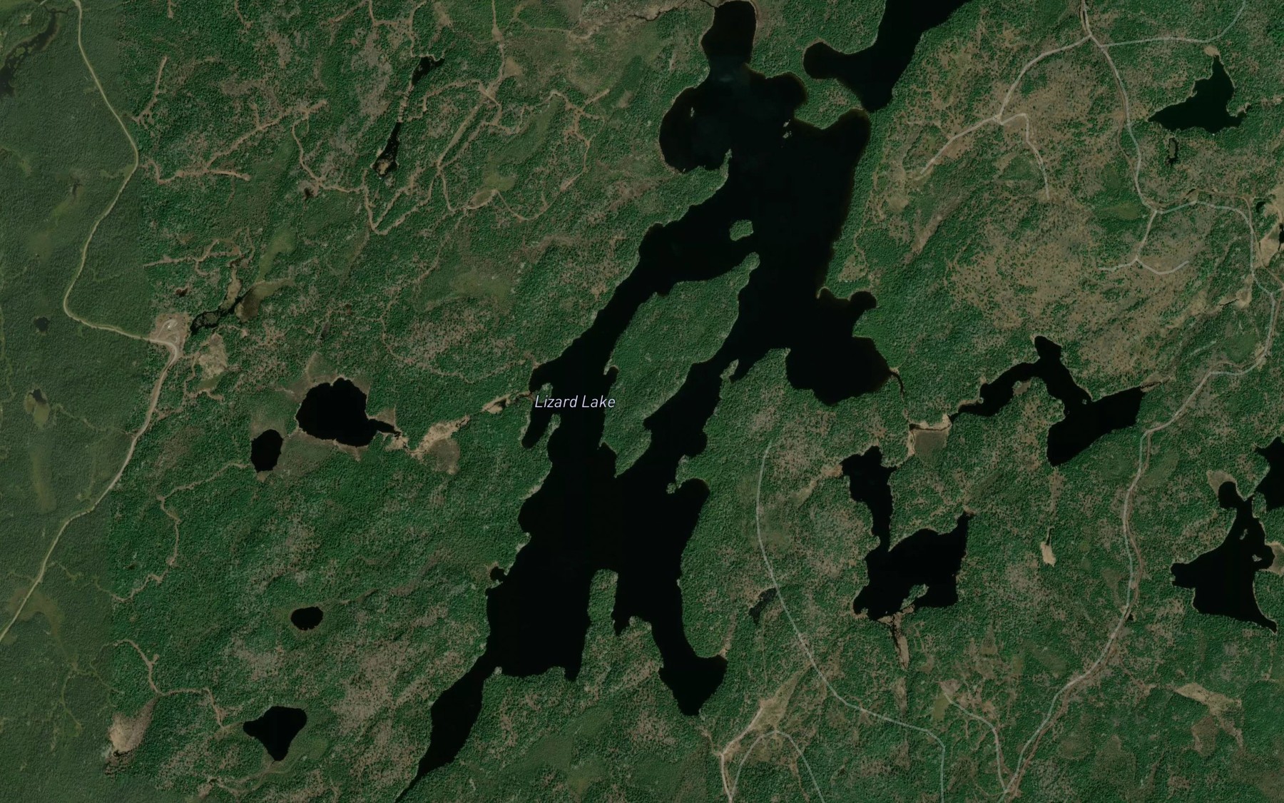 Satellite map of the Lizard Lake