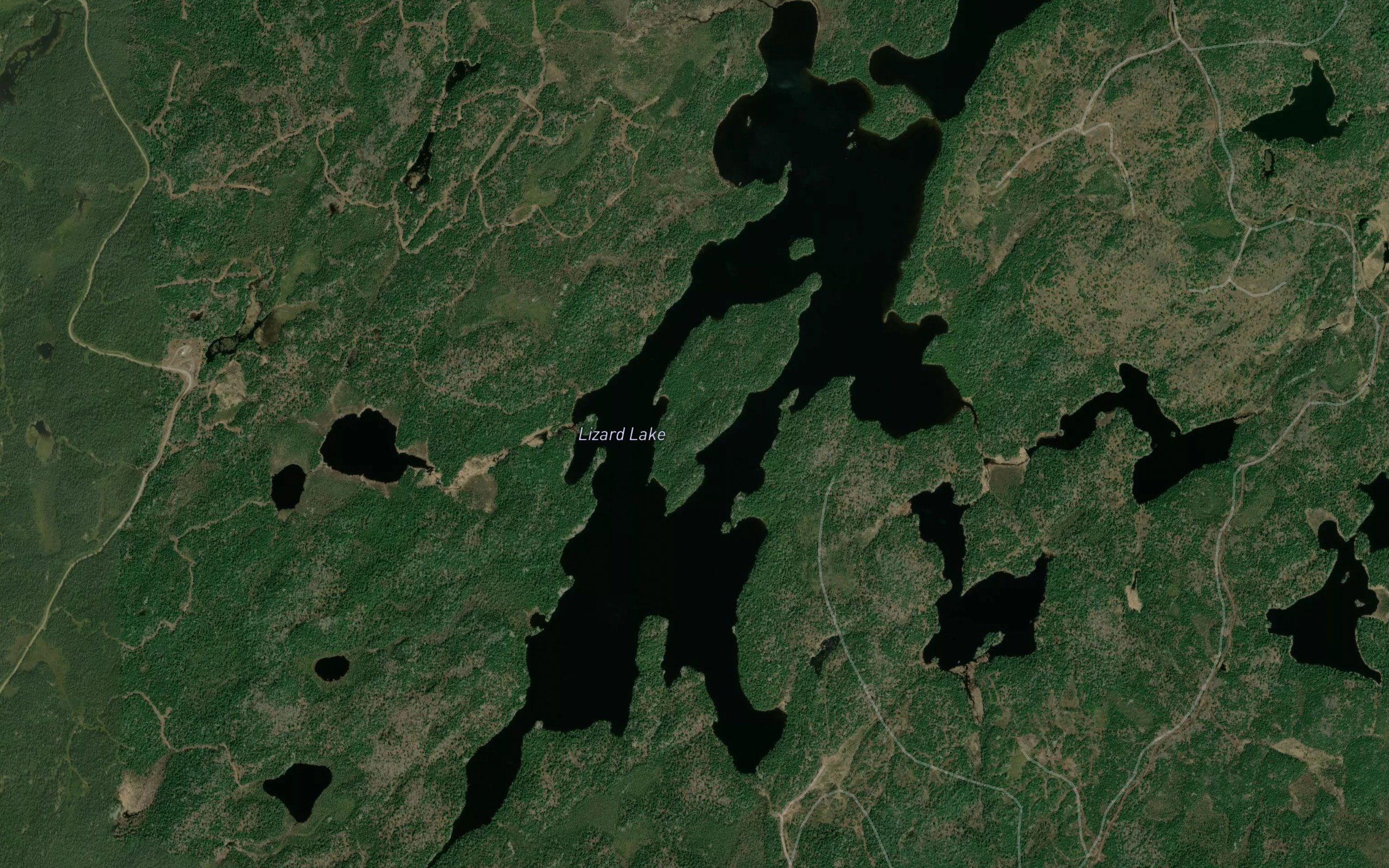 Lizard Lake