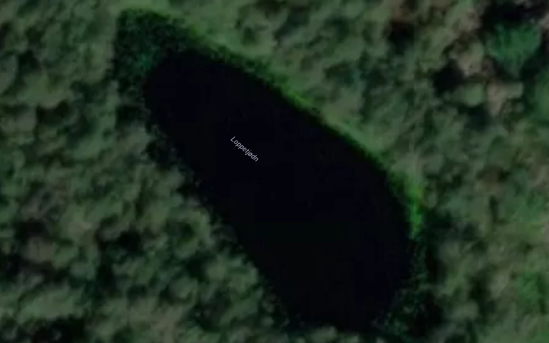 Satellite map of the Loppetjodn