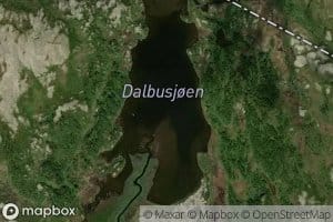 Dalbusjoen
