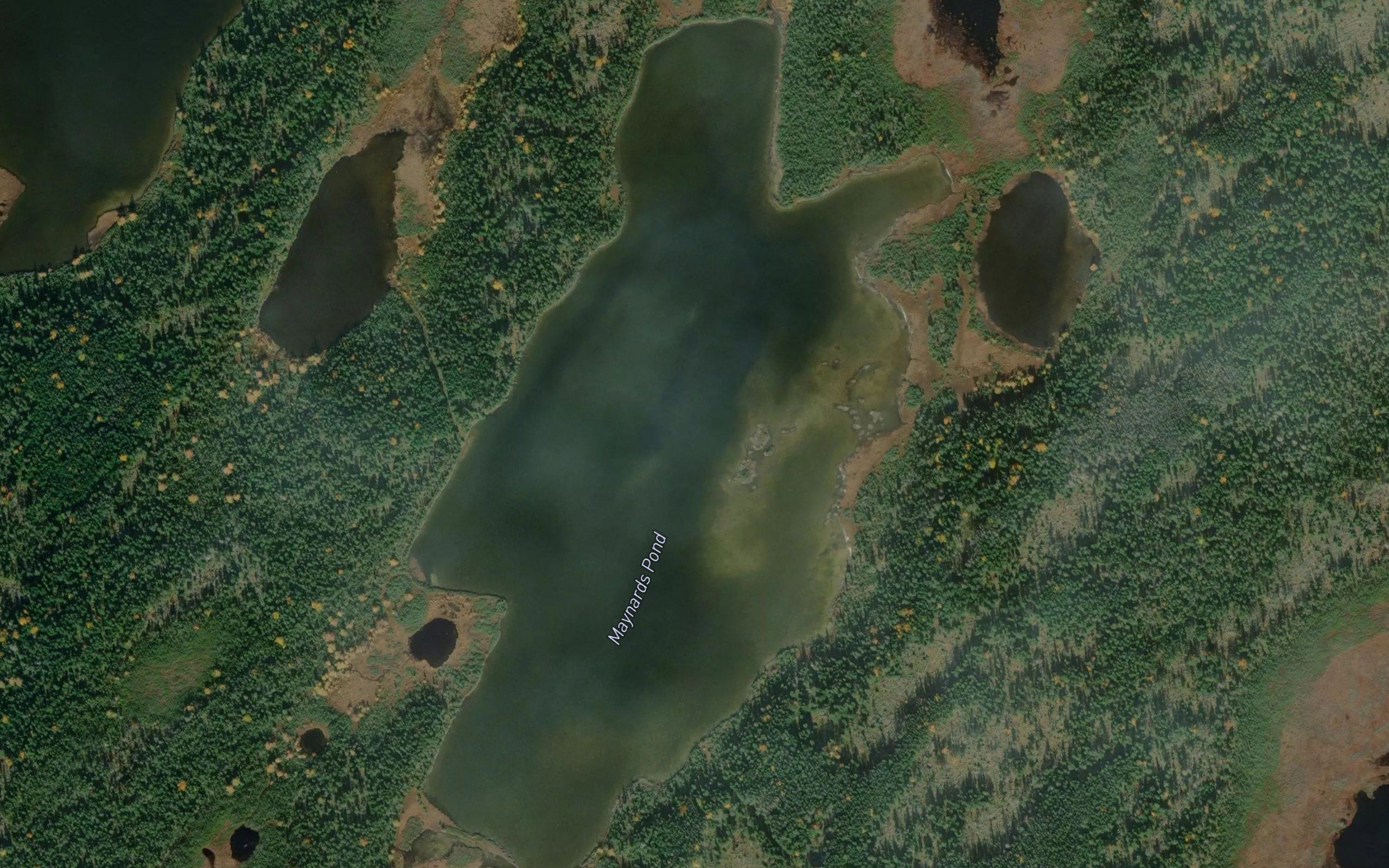 Maynards Pond